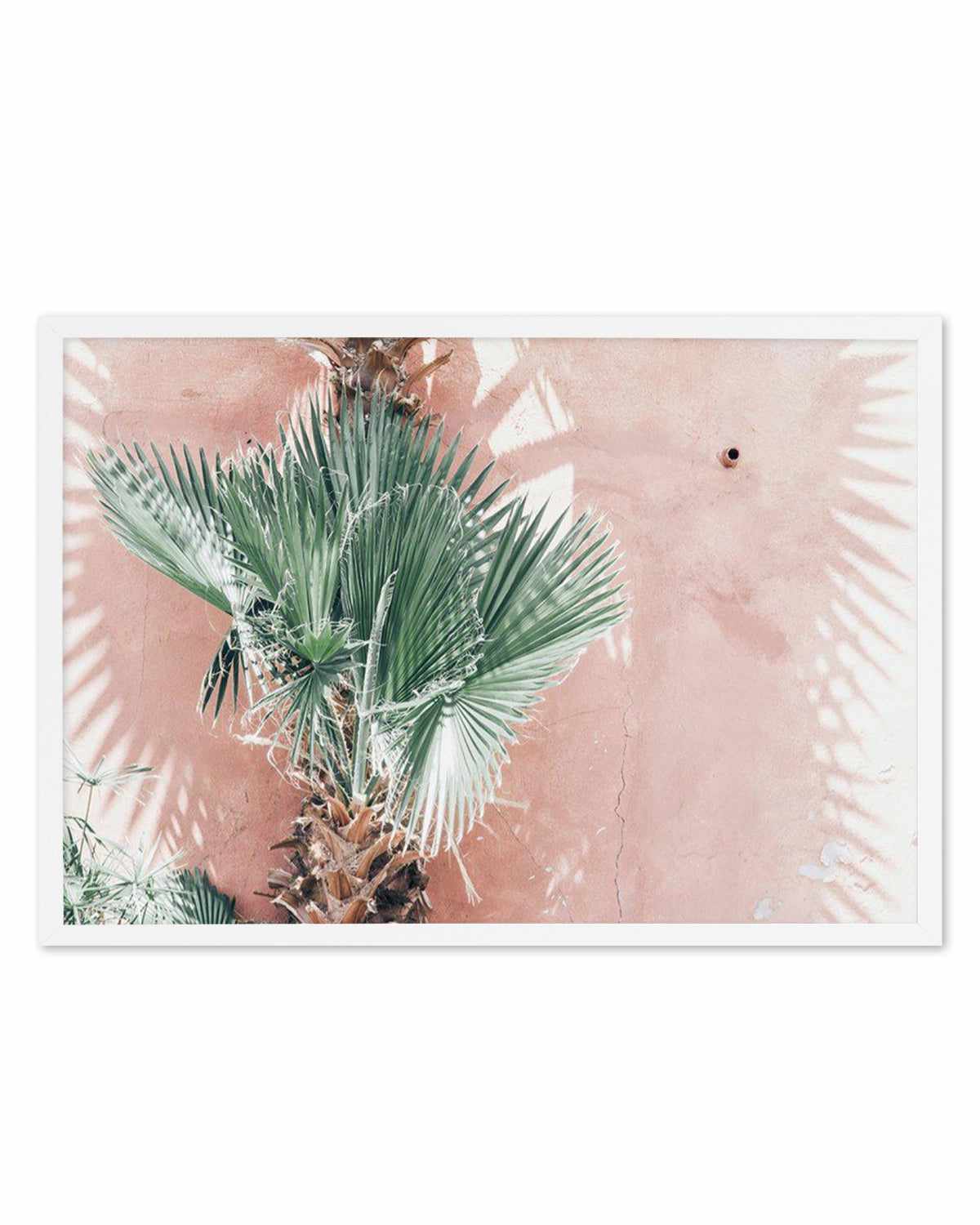 LA Palms | LS Art Print