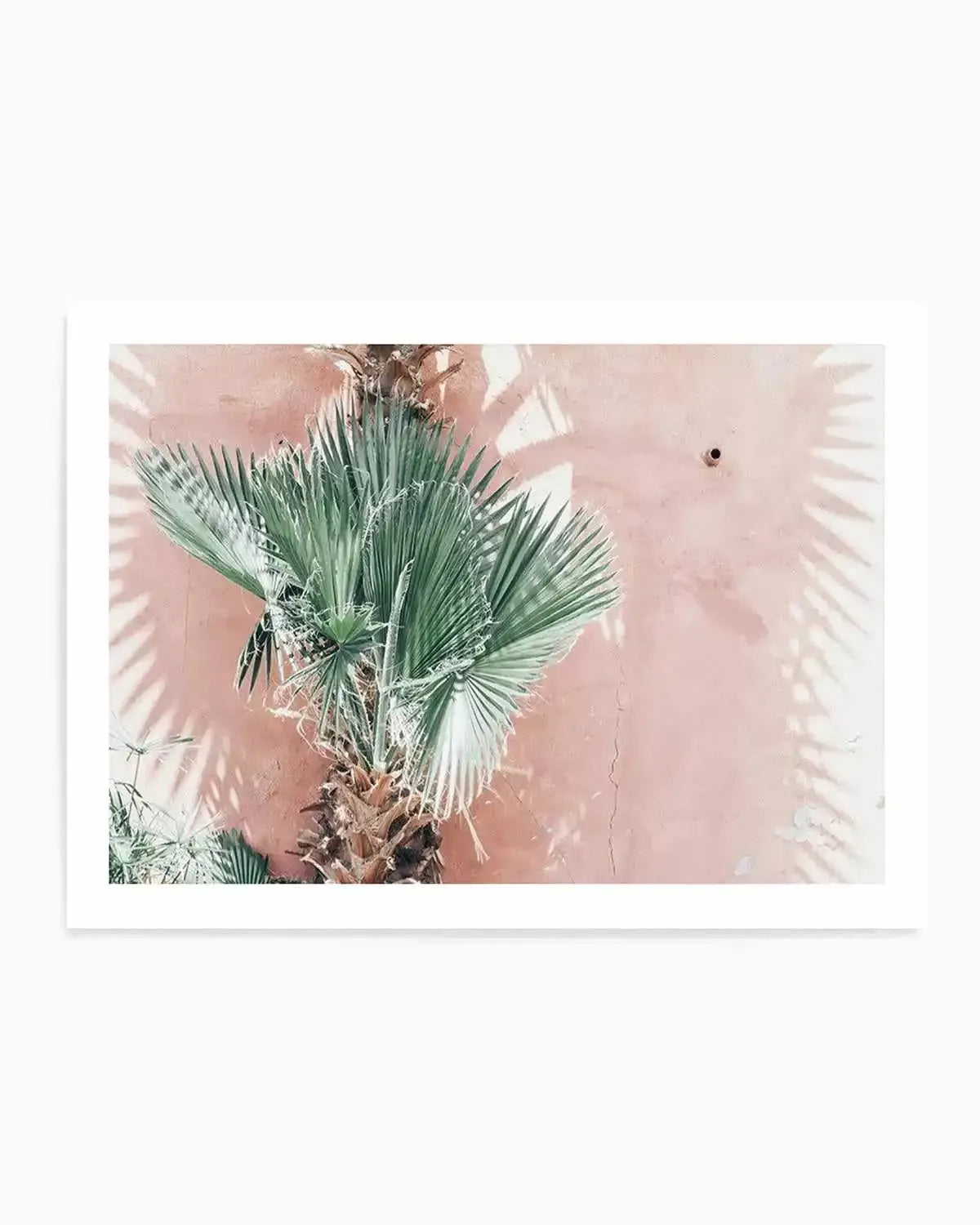 LA Palms | LS Art Print from Olive et Oriel where you can shop wallpaper and artworks online