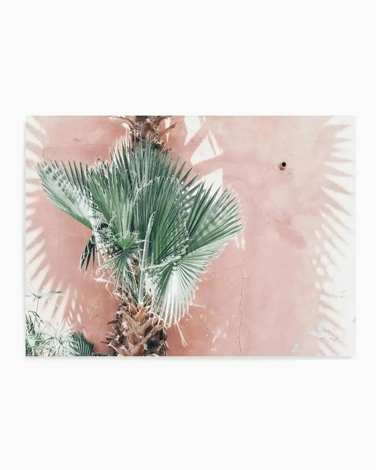 LA Palms | LS Art Print from Olive et Oriel where you can shop wallpaper and artworks online