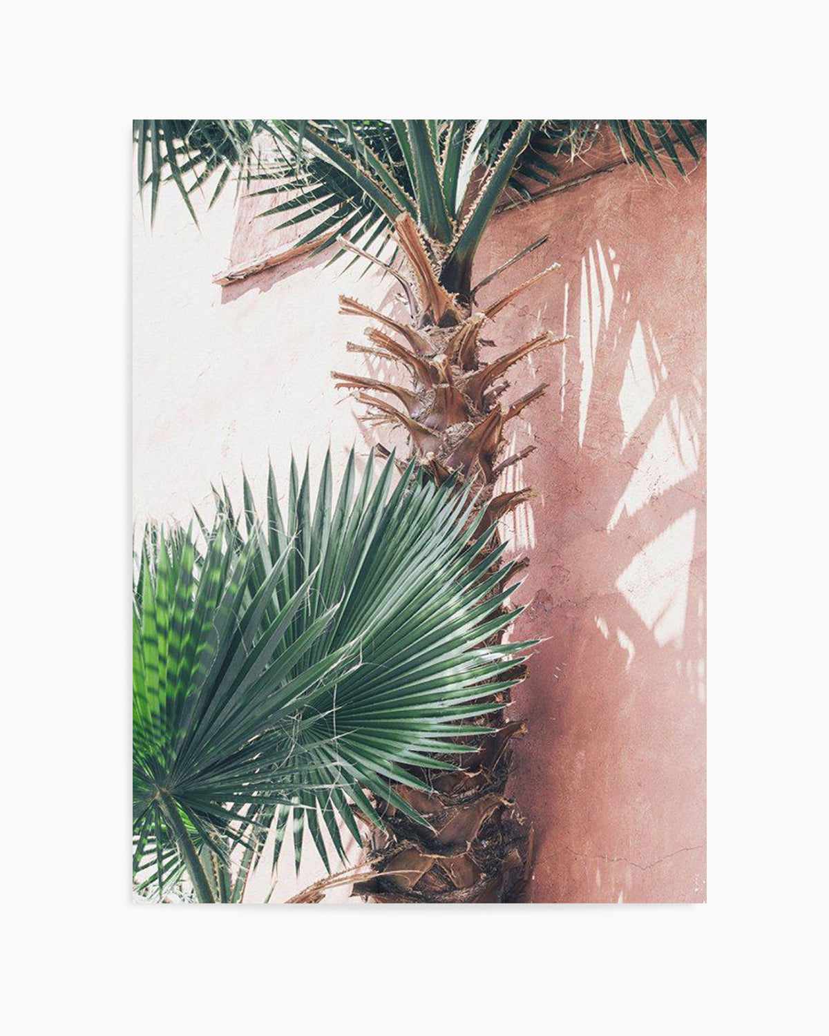 LA Palms | PT Art Print