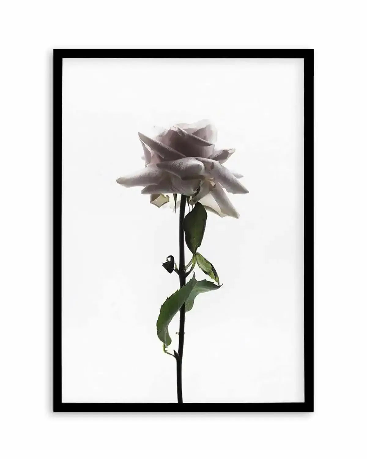 La Ballerine Art Print from Olive et Oriel where you can shop wallpaper and artworks online