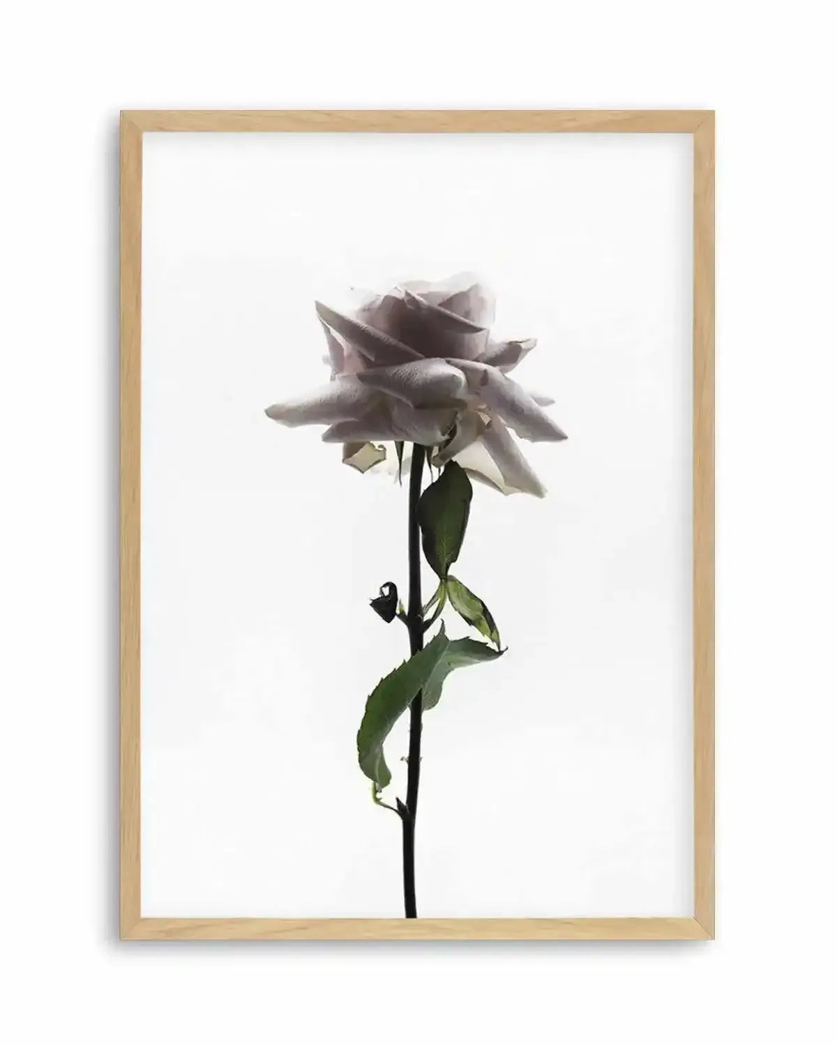 La Ballerine Art Print from Olive et Oriel where you can shop wallpaper and artworks online