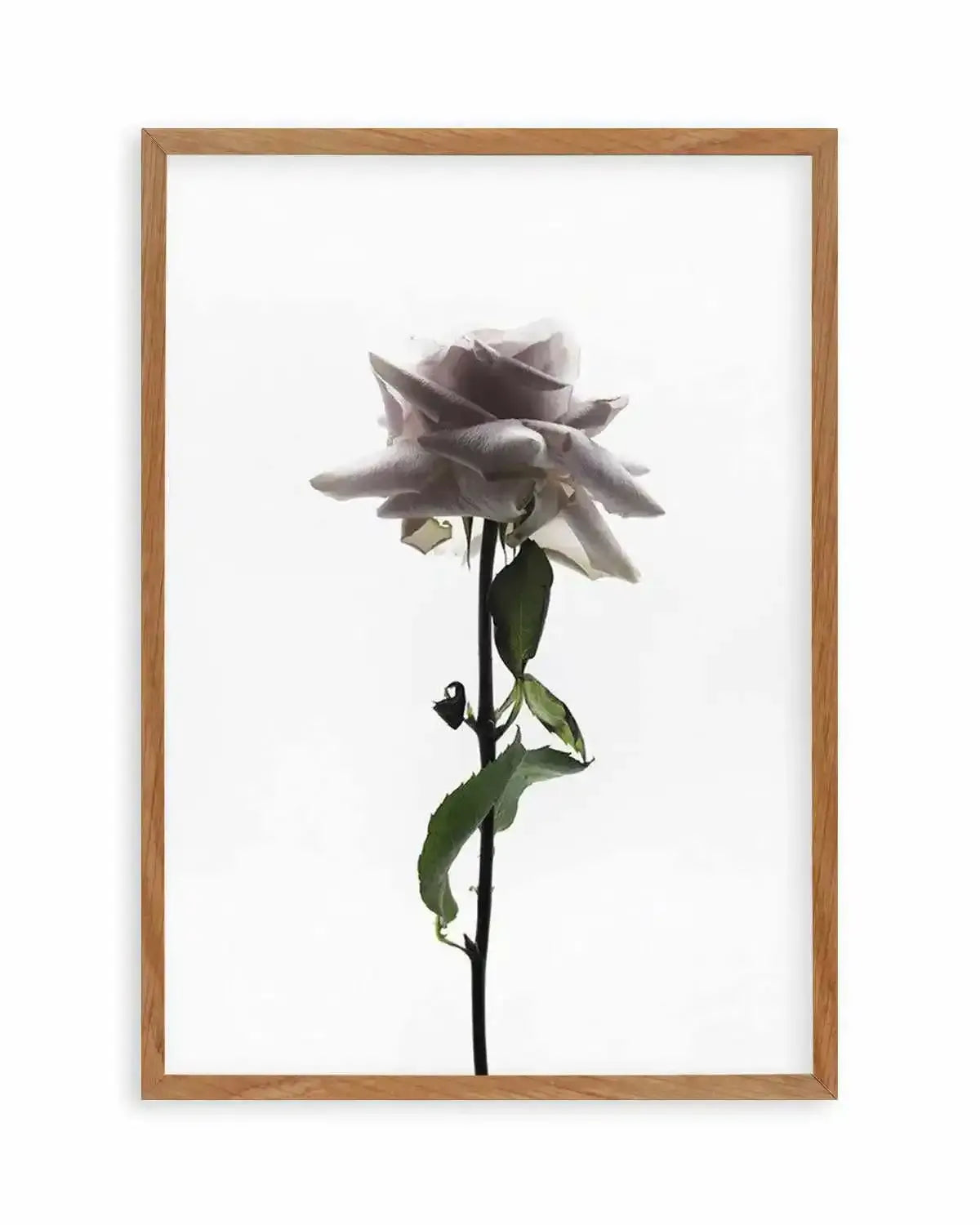 La Ballerine Art Print from Olive et Oriel where you can shop wallpaper and artworks online