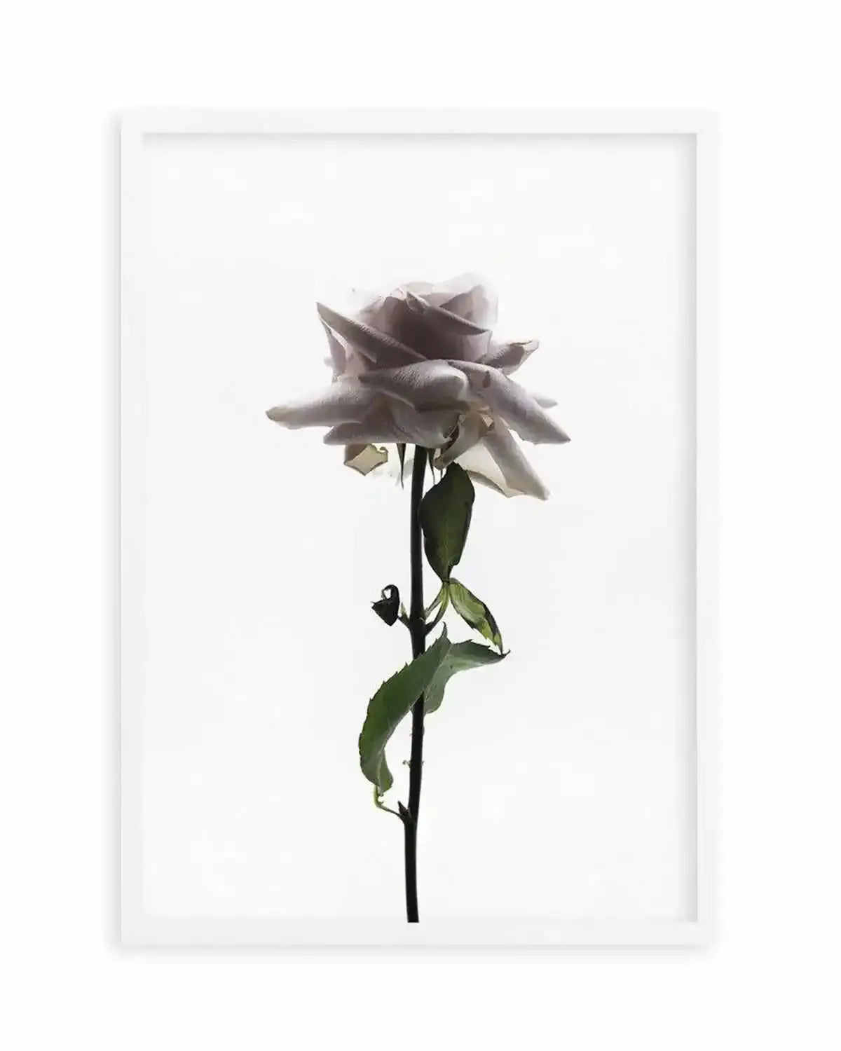 La Ballerine Art Print from Olive et Oriel where you can shop wallpaper and artworks online