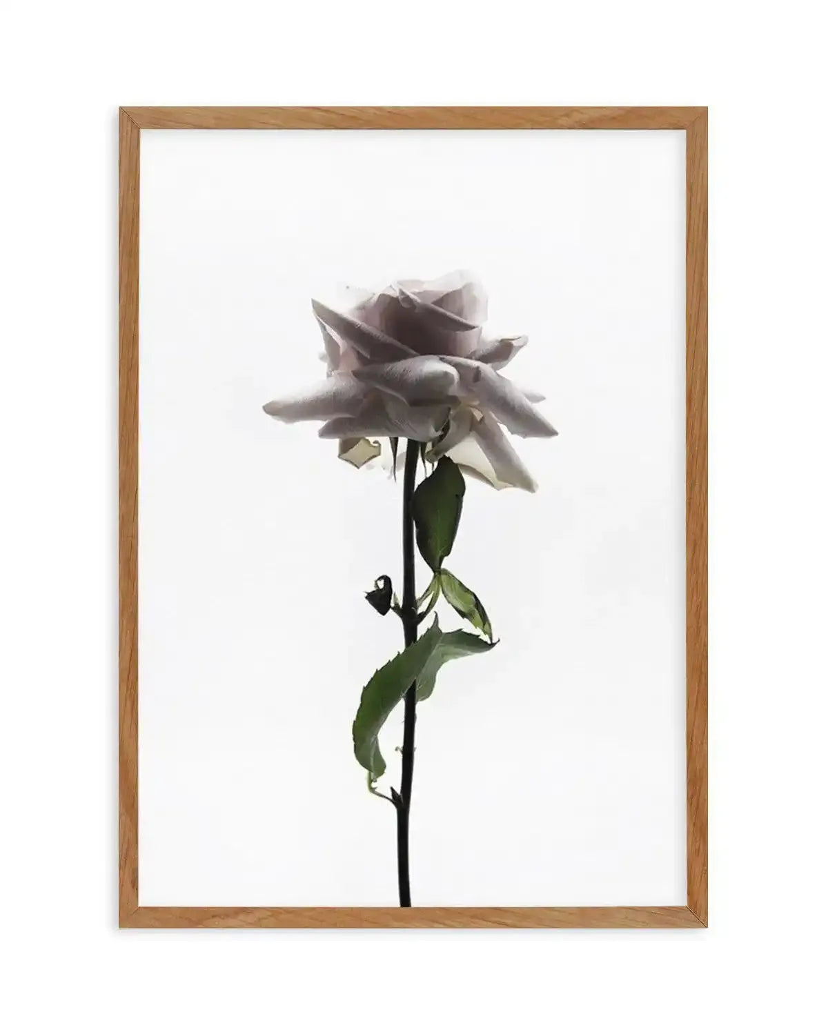 La Ballerine Art Print-PRINT-Olive et Oriel-Olive et Oriel-50x70 cm | 19.6" x 27.5"-Walnut-With White Border-Buy-Australian-Art-Prints-Online-with-Olive-et-Oriel-Your-Artwork-Specialists-Austrailia-Decorate-With-Coastal-Photo-Wall-Art-Prints-From-Our-Beach-House-Artwork-Collection-Fine-Poster-and-Framed-Artwork