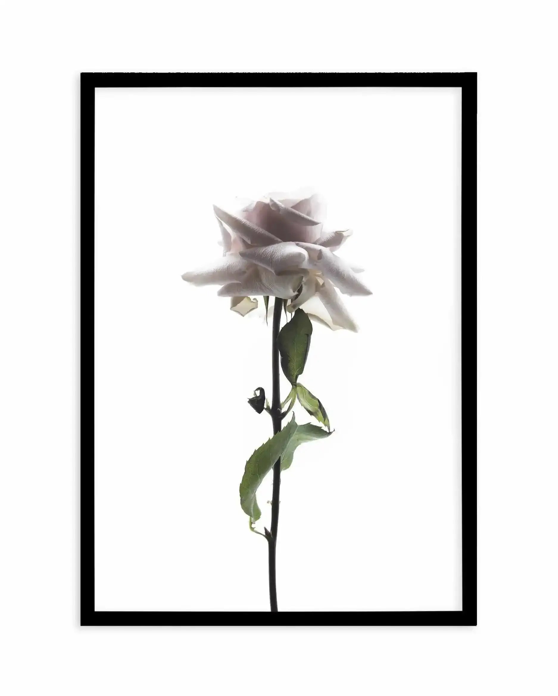 La Ballerine Art Print-PRINT-Olive et Oriel-Olive et Oriel-A4 | 8.3" x 11.7" | 21 x 29.7cm-Black-With White Border-Buy-Australian-Art-Prints-Online-with-Olive-et-Oriel-Your-Artwork-Specialists-Austrailia-Decorate-With-Coastal-Photo-Wall-Art-Prints-From-Our-Beach-House-Artwork-Collection-Fine-Poster-and-Framed-Artwork