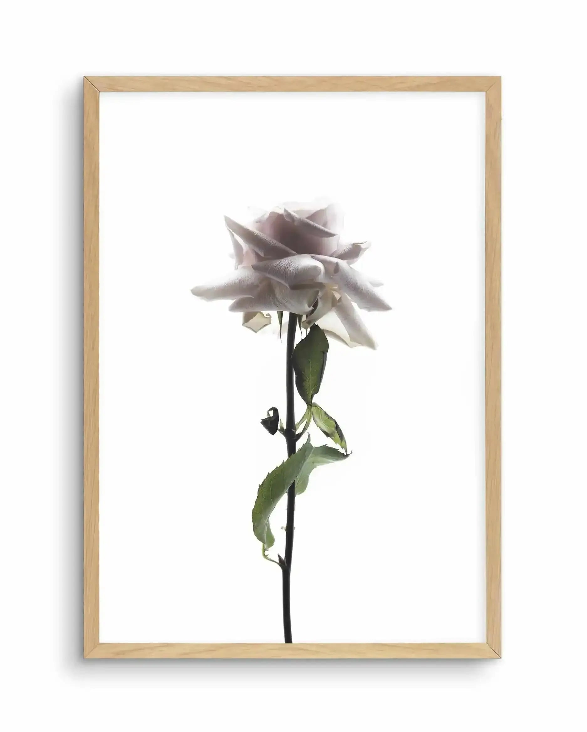 La Ballerine Art Print-PRINT-Olive et Oriel-Olive et Oriel-A4 | 8.3" x 11.7" | 21 x 29.7cm-Oak-With White Border-Buy-Australian-Art-Prints-Online-with-Olive-et-Oriel-Your-Artwork-Specialists-Austrailia-Decorate-With-Coastal-Photo-Wall-Art-Prints-From-Our-Beach-House-Artwork-Collection-Fine-Poster-and-Framed-Artwork