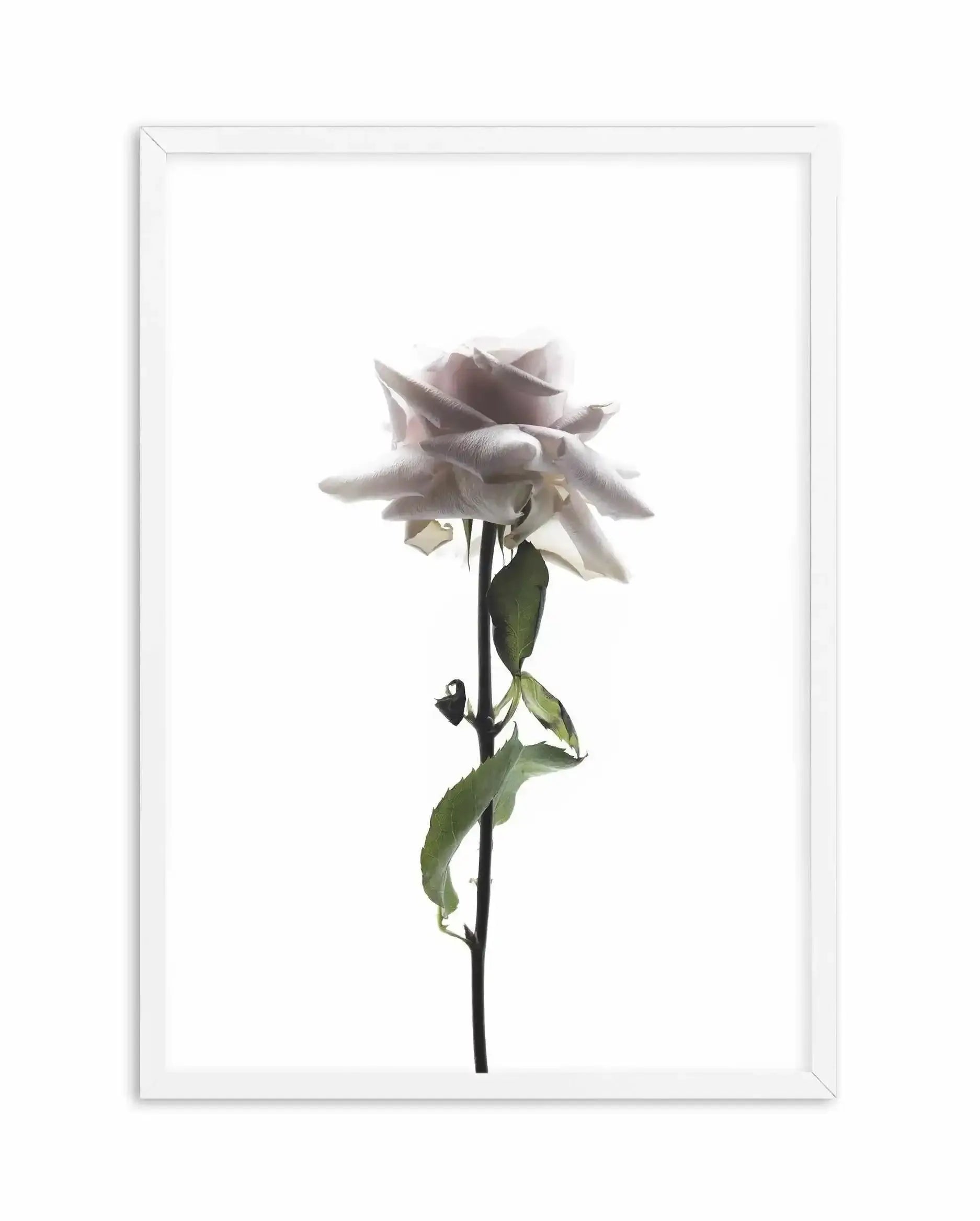 La Ballerine Art Print-PRINT-Olive et Oriel-Olive et Oriel-A4 | 8.3" x 11.7" | 21 x 29.7cm-White-With White Border-Buy-Australian-Art-Prints-Online-with-Olive-et-Oriel-Your-Artwork-Specialists-Austrailia-Decorate-With-Coastal-Photo-Wall-Art-Prints-From-Our-Beach-House-Artwork-Collection-Fine-Poster-and-Framed-Artwork