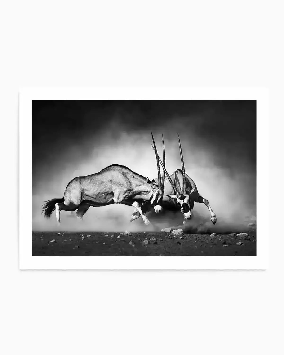 La Bataille Art Print from Olive et Oriel where you can shop wallpaper and artworks online