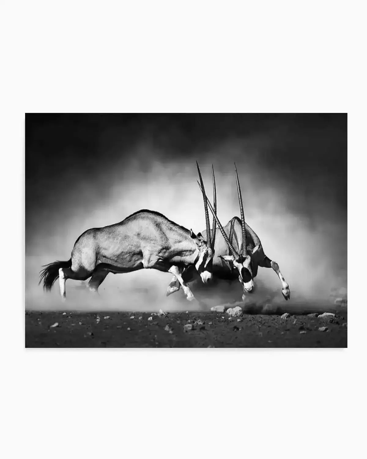 La Bataille Art Print from Olive et Oriel where you can shop wallpaper and artworks online