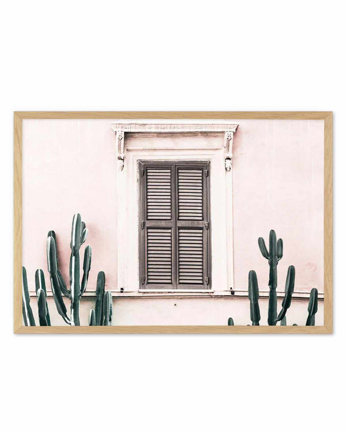 La Casa Rosa Art Print