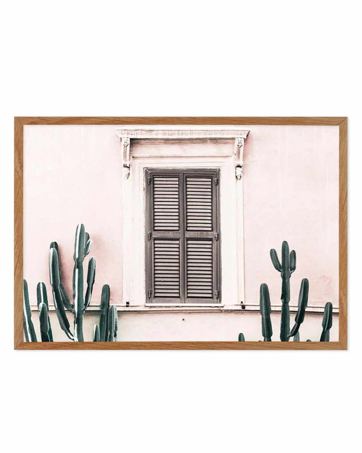 La Casa Rosa Art Print