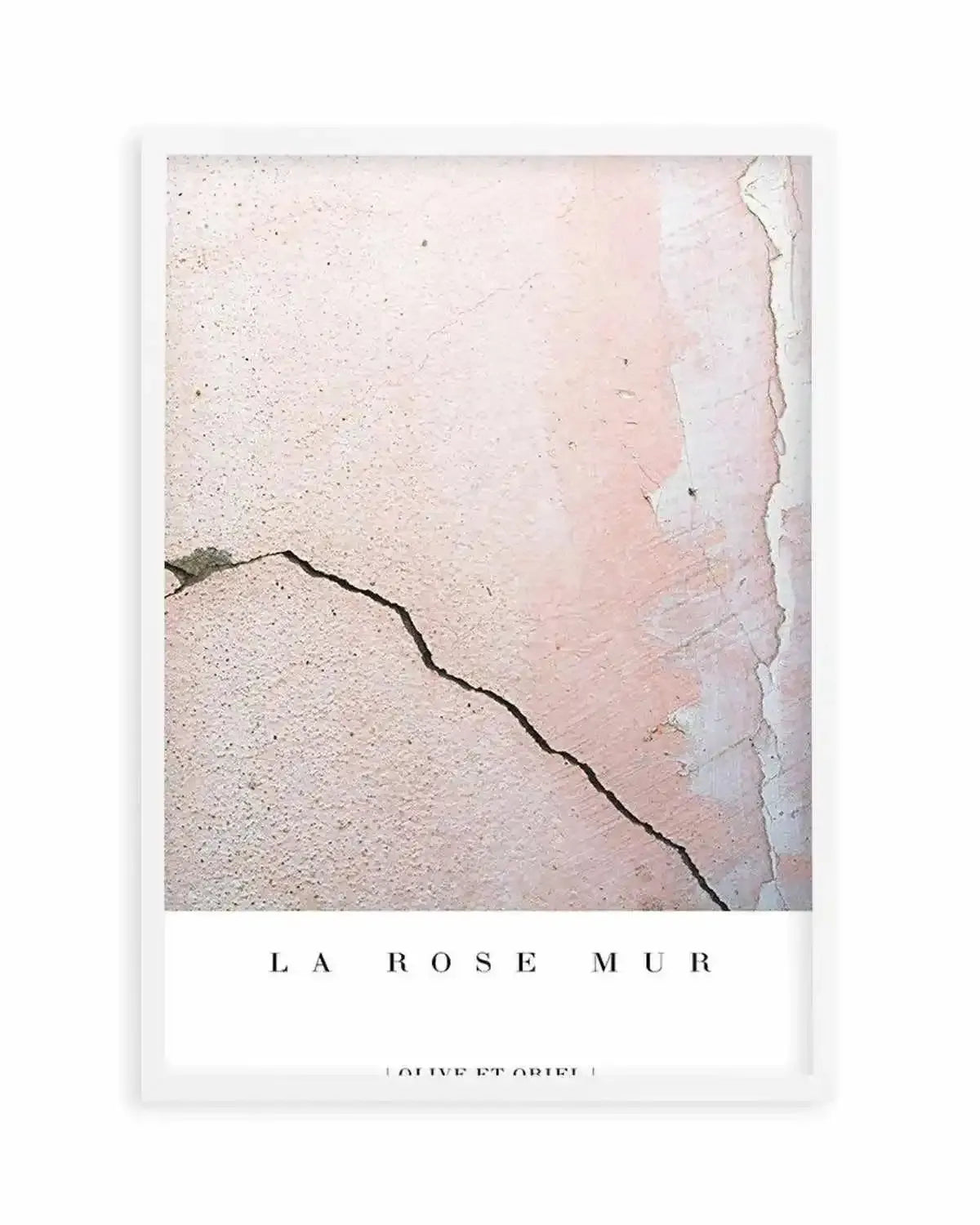 La Rose Mur Art Print from Olive et Oriel where you can shop wallpaper and artworks online