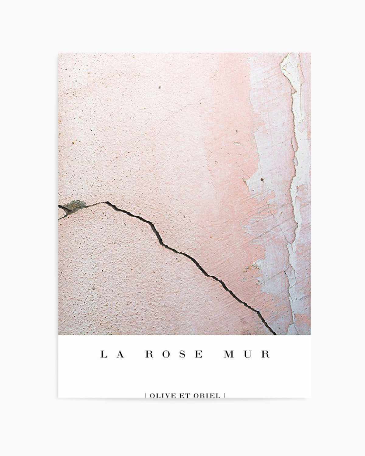 La Rose Mur Art Print