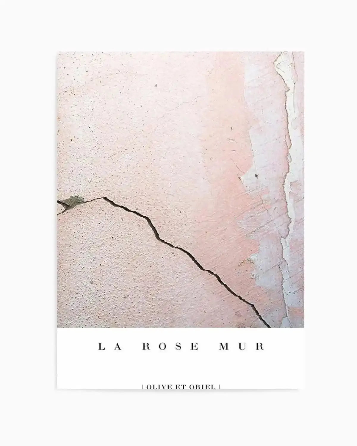 La Rose Mur Art Print from Olive et Oriel where you can shop wallpaper and artworks online
