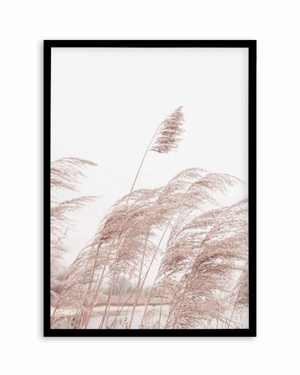 Lakeside Pampas I Art Print