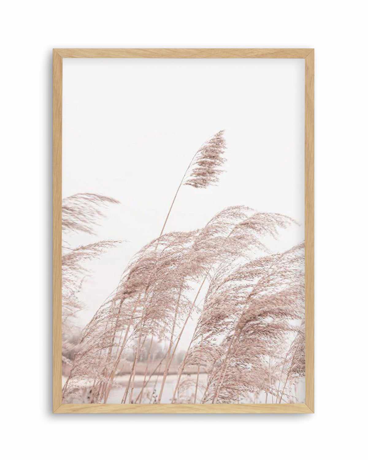 Lakeside Pampas I Art Print