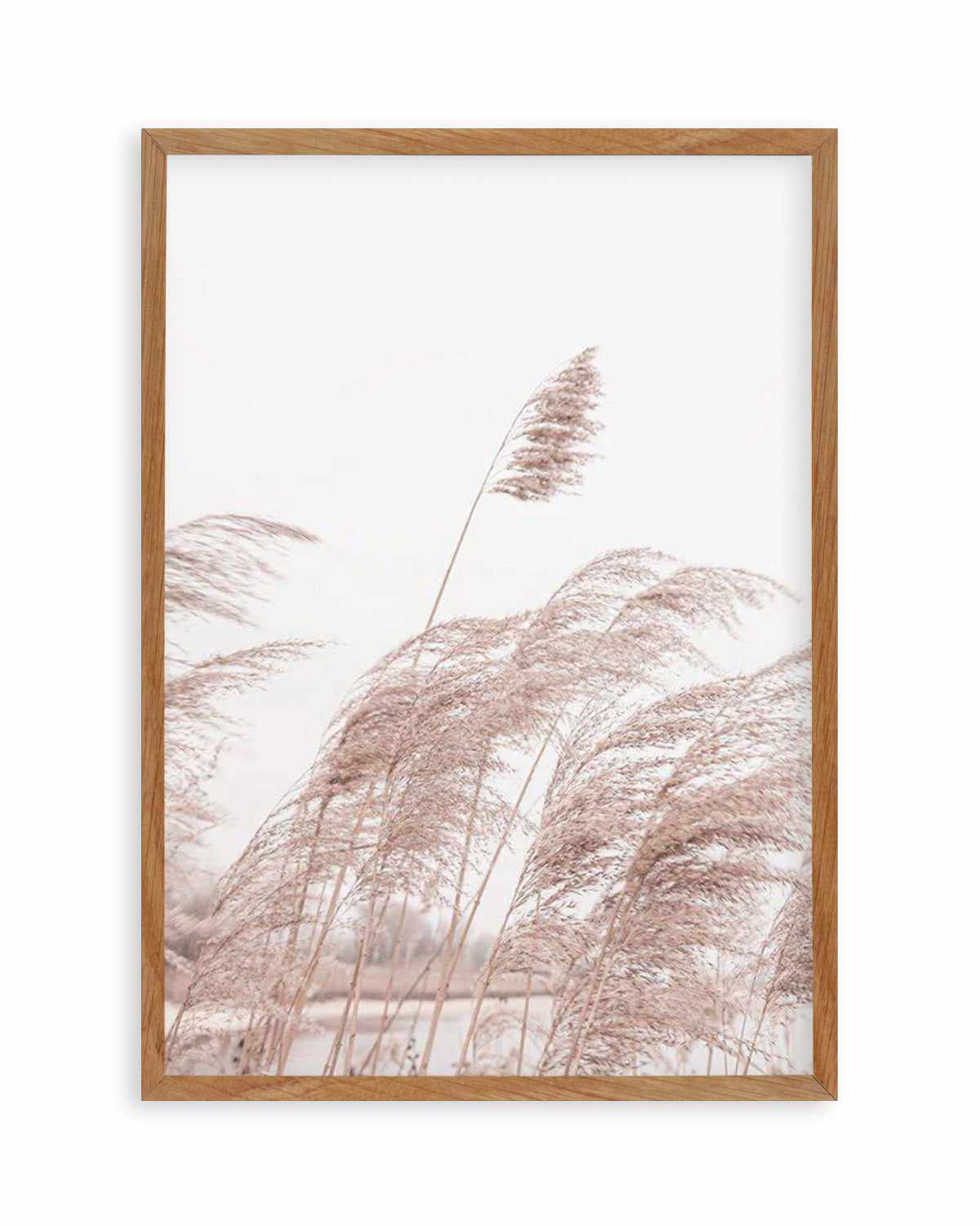 Lakeside Pampas I Art Print