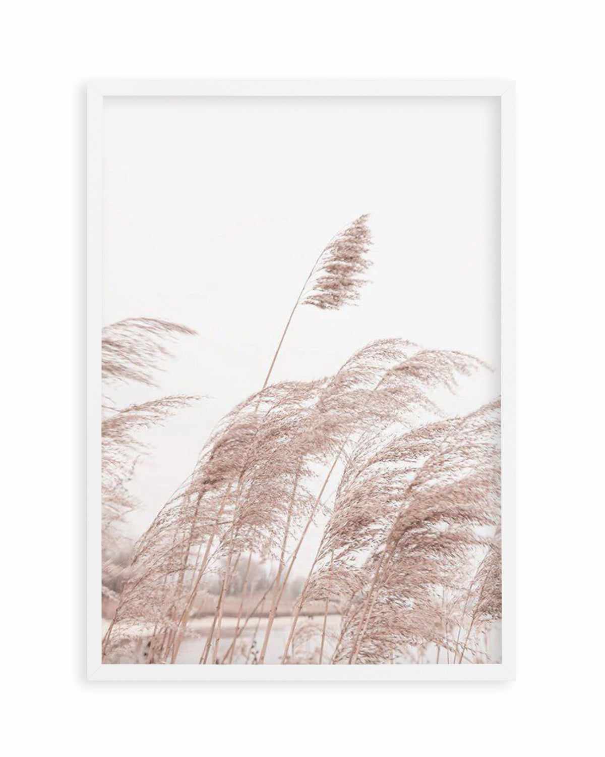 Lakeside Pampas I Art Print