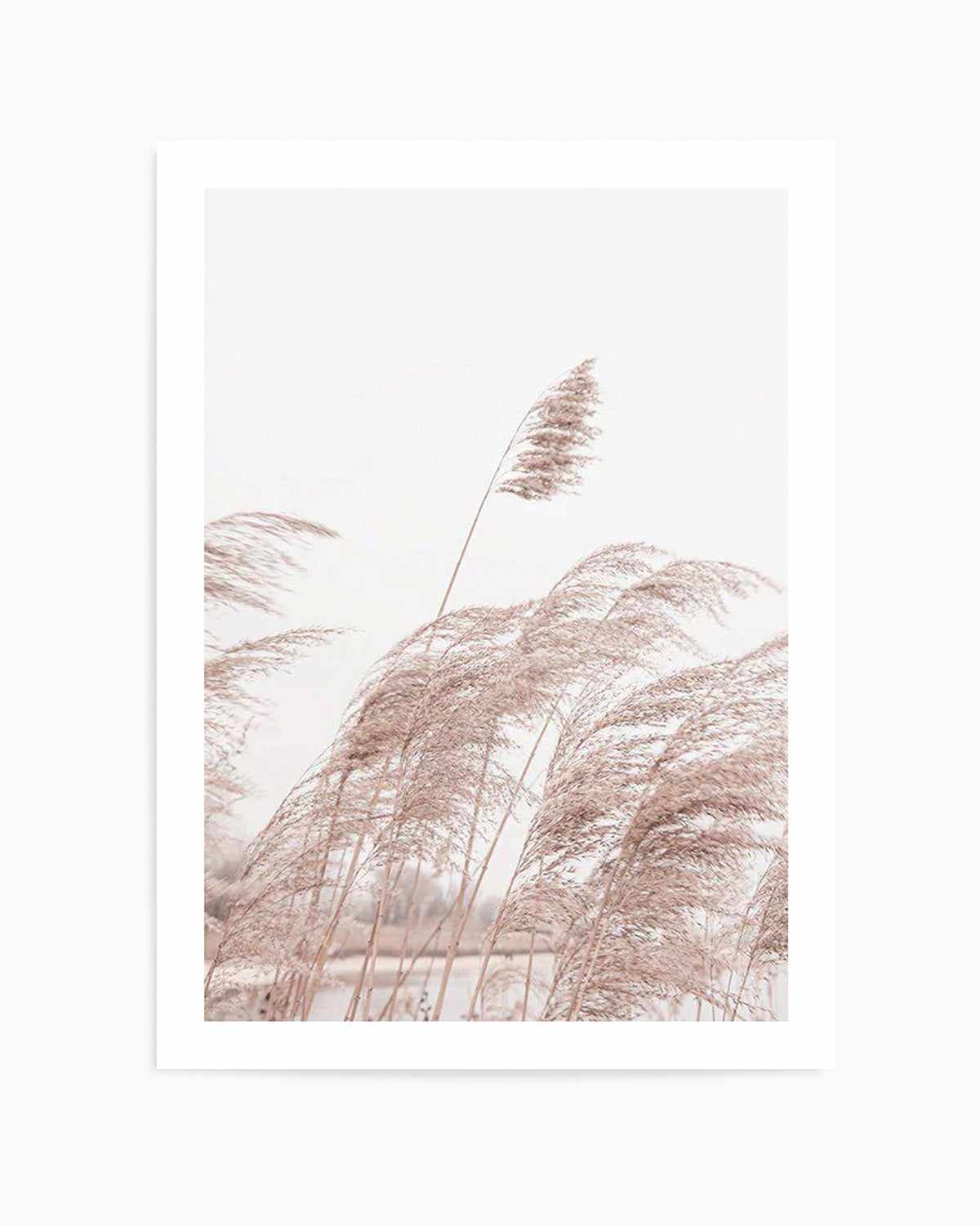 Lakeside Pampas I Art Print