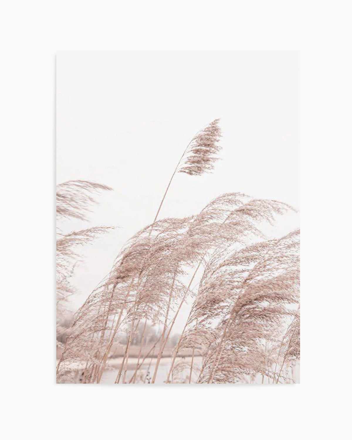 Lakeside Pampas I Art Print