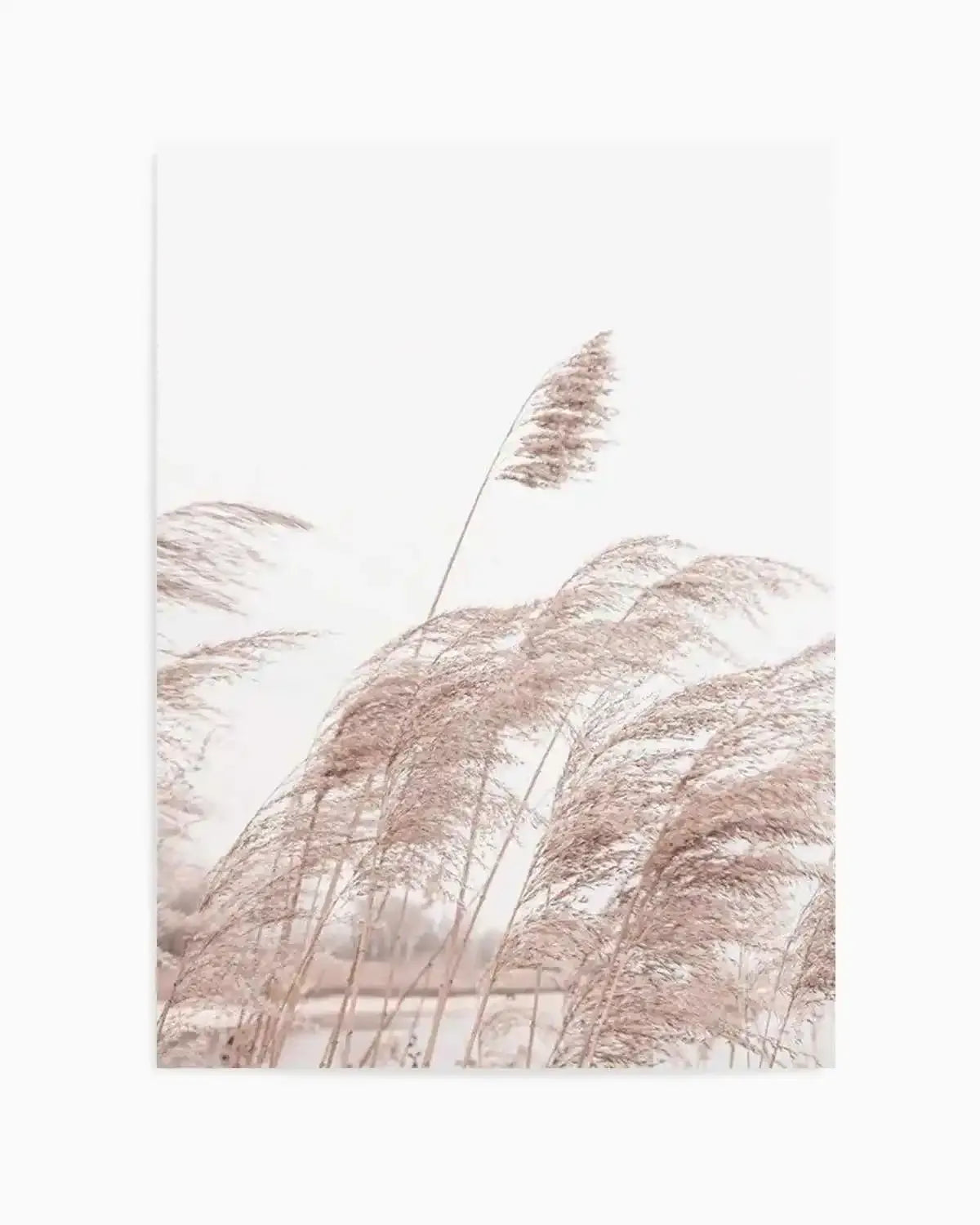 Lakeside Pampas I Art Print from Olive et Oriel where you can shop wallpaper and artworks online