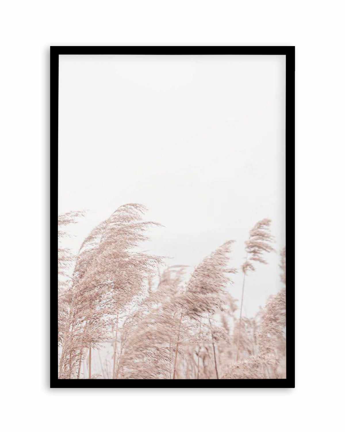 Lakeside Pampas II Art Print