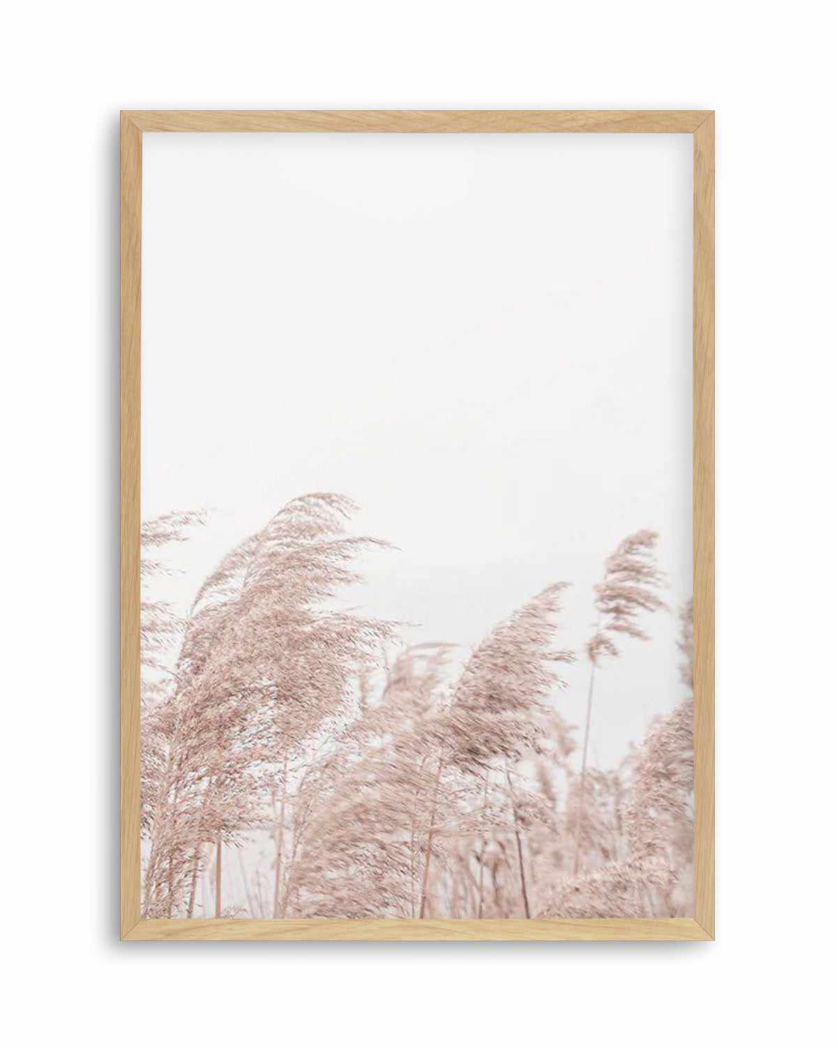 Lakeside Pampas II Art Print