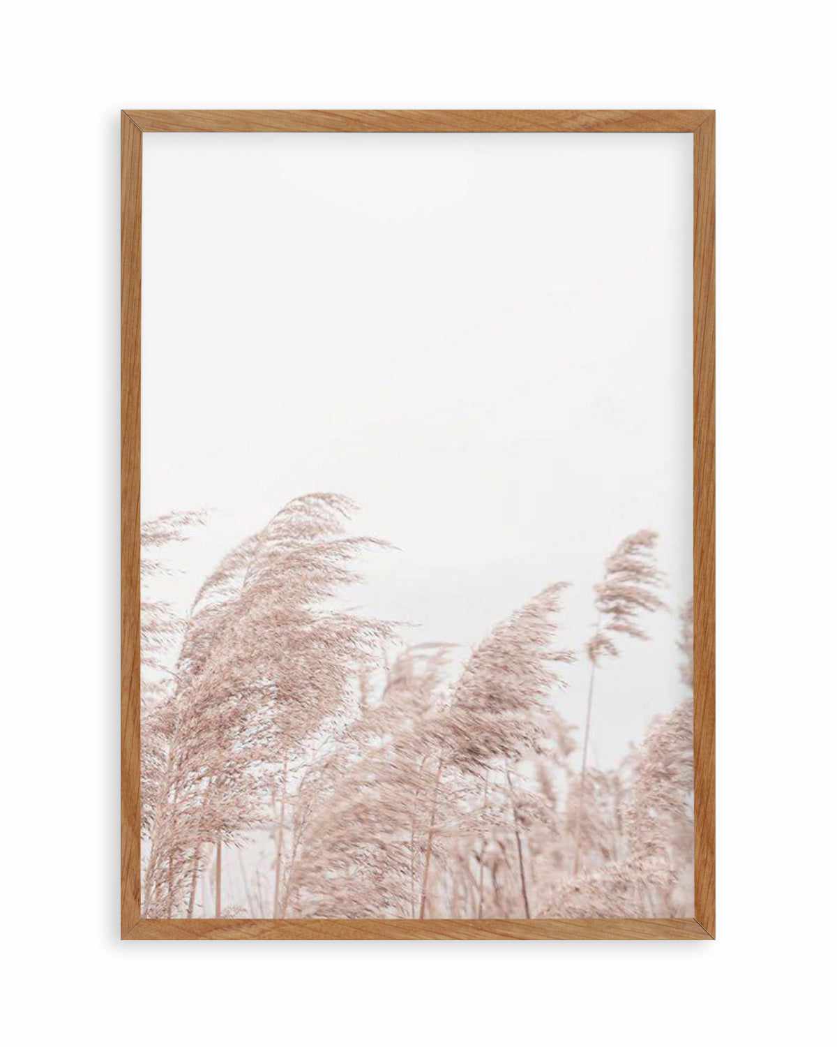 Lakeside Pampas II Art Print