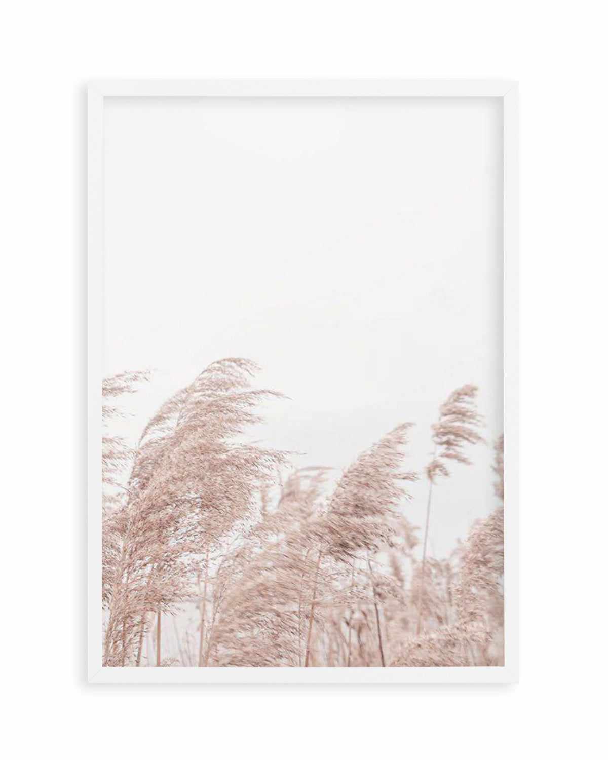 Lakeside Pampas II Art Print