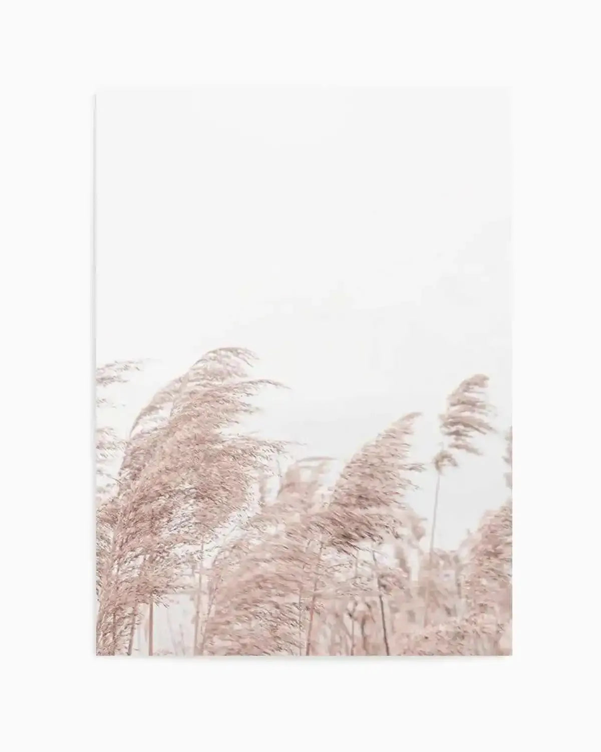 Lakeside Pampas II Art Print from Olive et Oriel where you can shop wallpaper and artworks online
