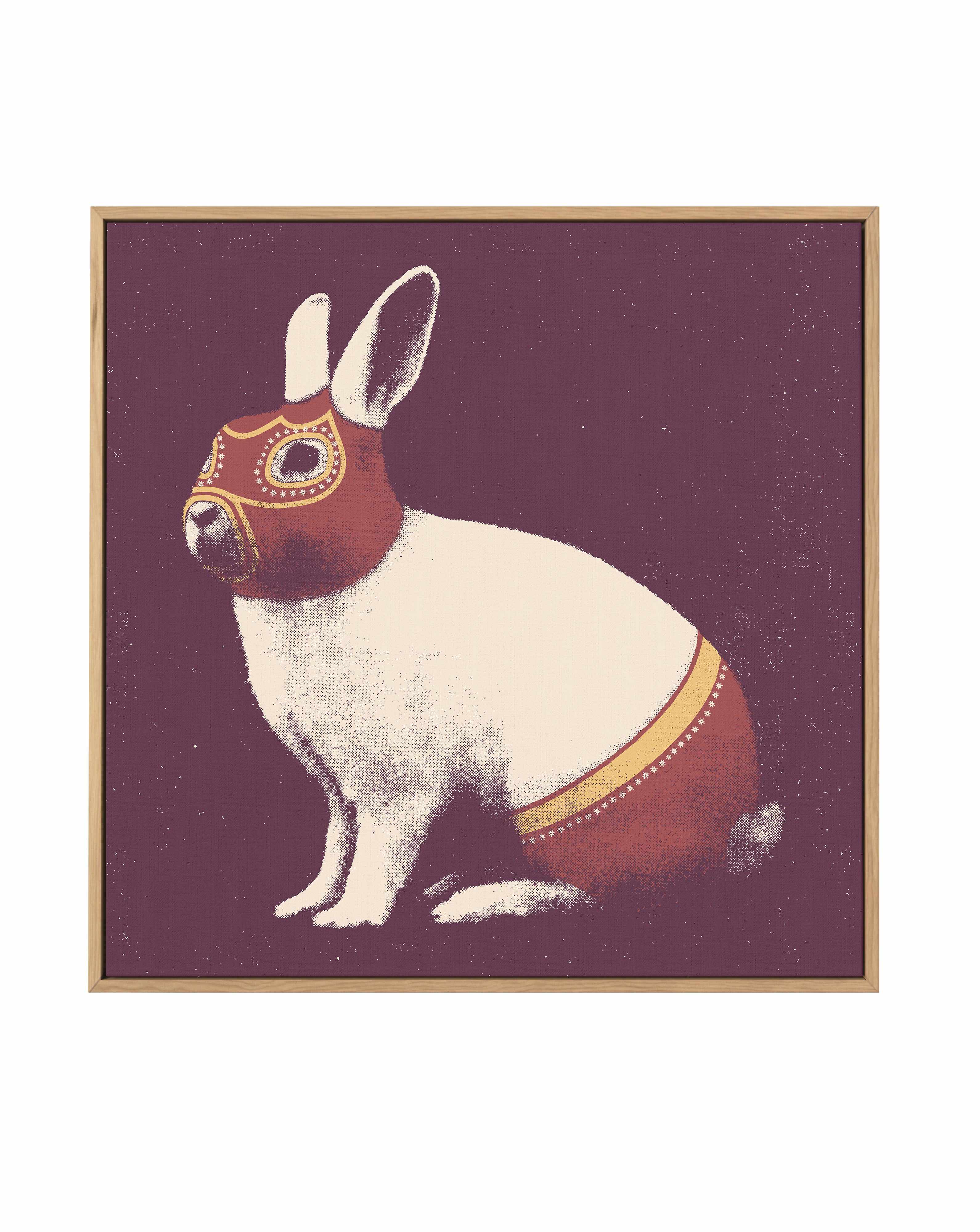 Lapin Catcheur By Florent Bodart | Framed Canvas Art Print