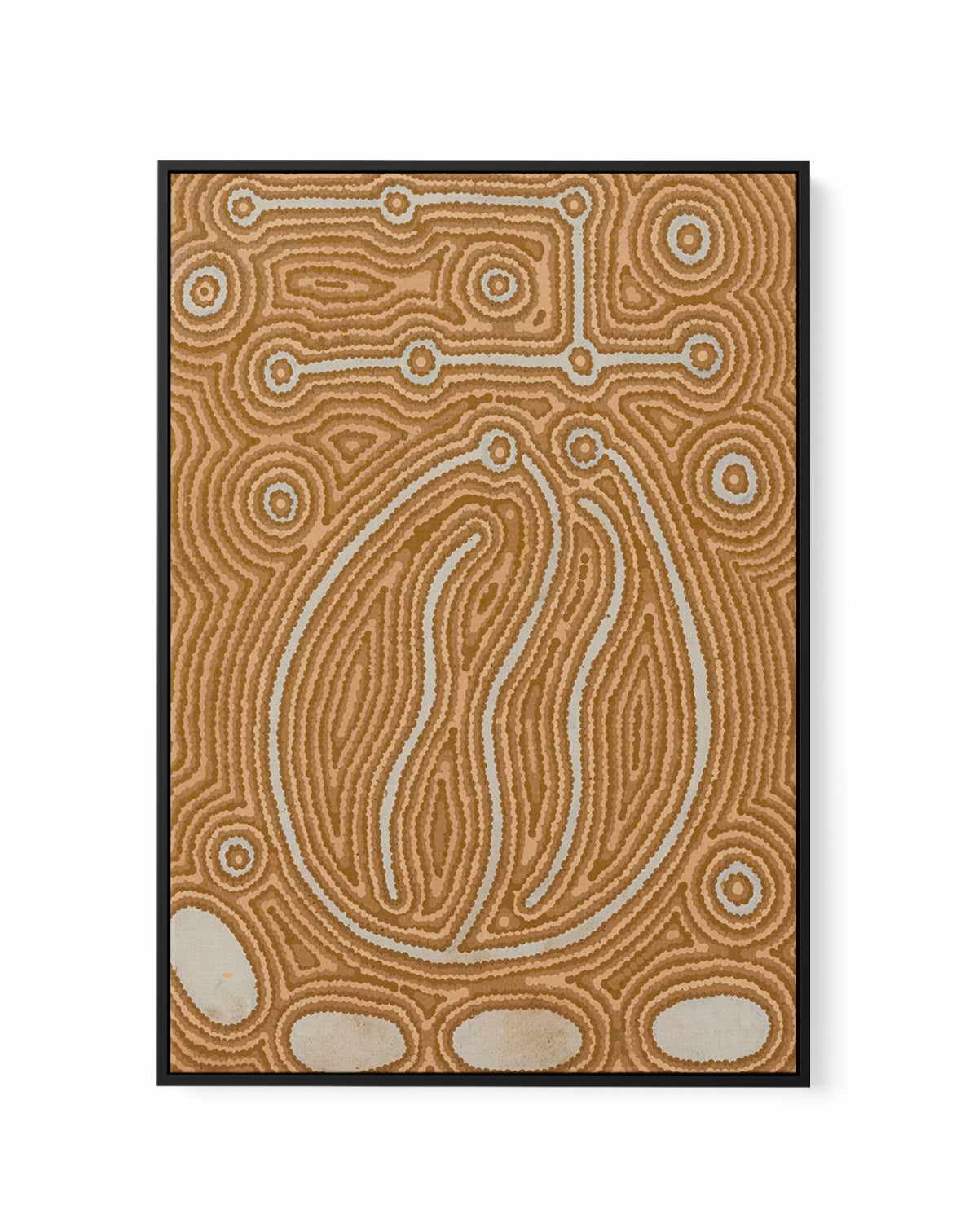 Lappi Lappi Jukurrpa (Lappi Lappi Dreaming) by Antonia Napangardi Michaels | Framed Canvas Art Print