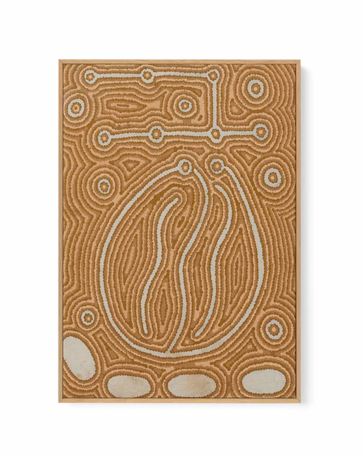 Lappi Lappi Jukurrpa (Lappi Lappi Dreaming) by Antonia Napangardi Michaels | Framed Canvas Art Print