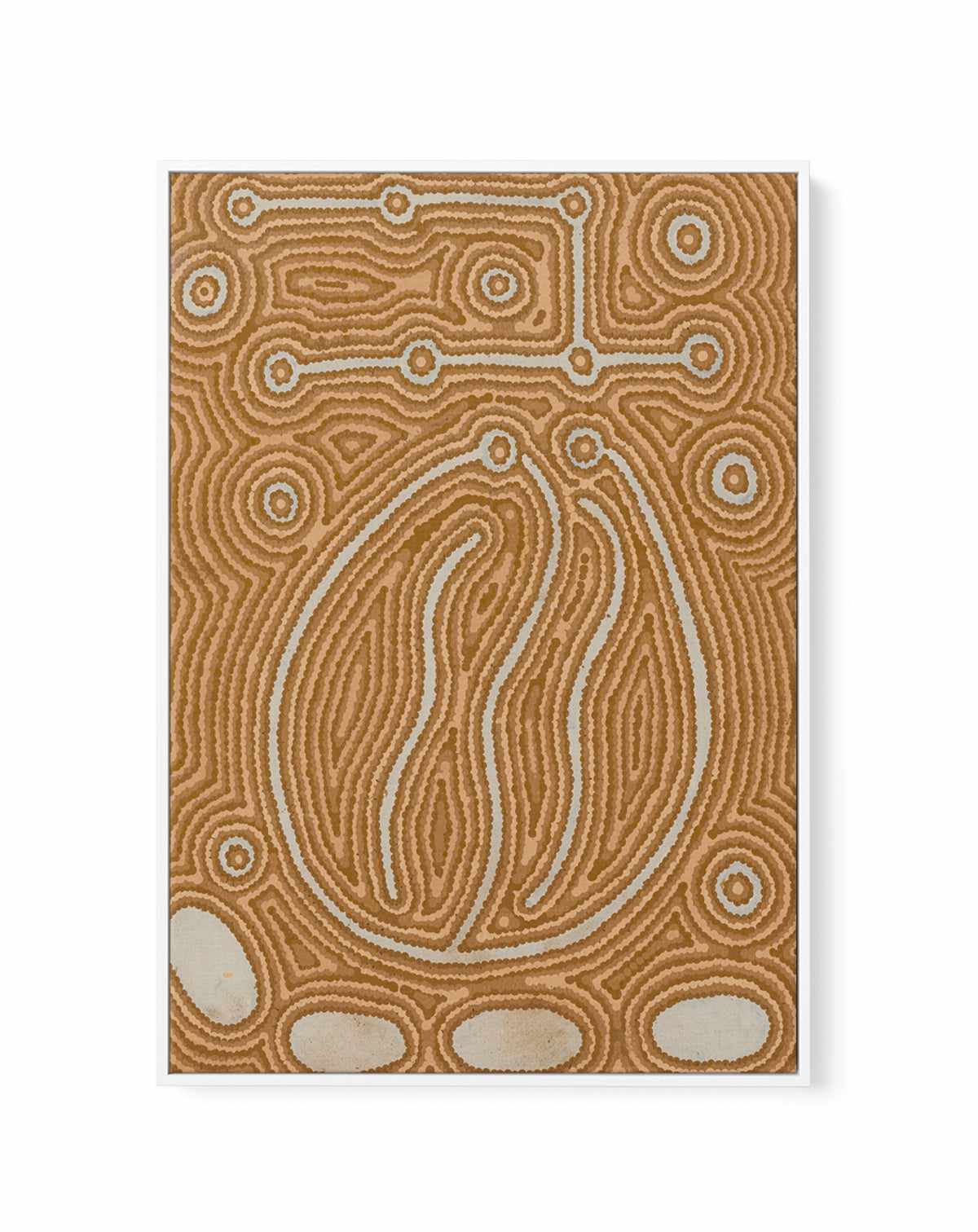 Lappi Lappi Jukurrpa (Lappi Lappi Dreaming) by Antonia Napangardi Michaels | Framed Canvas Art Print