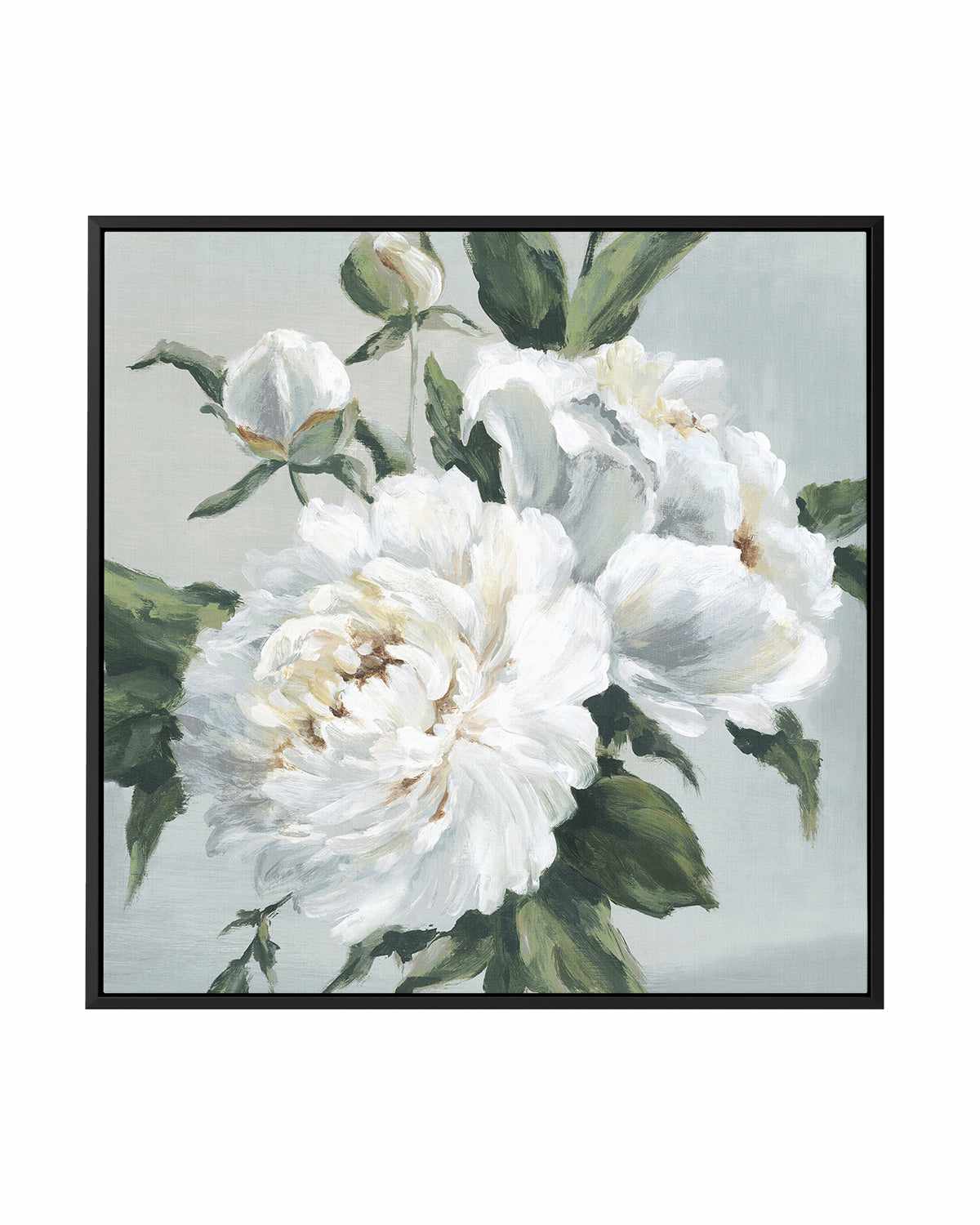 Large Peonies I | Framed Canvas Art Print