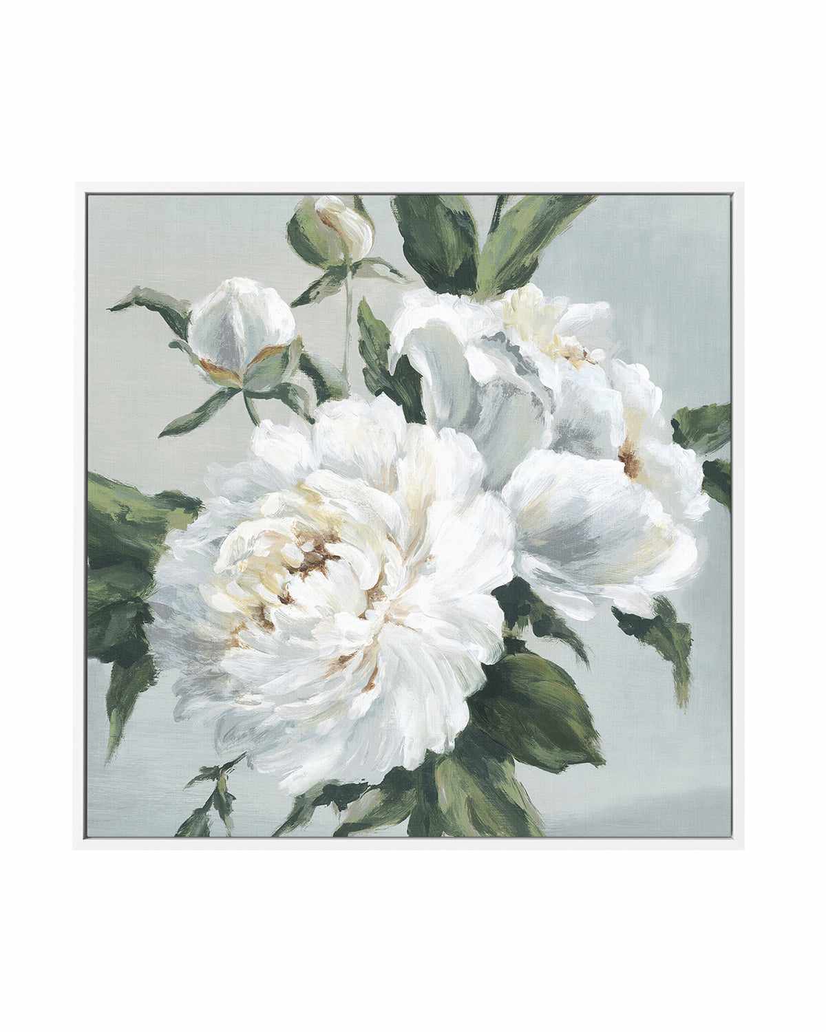 Large Peonies I | Framed Canvas Art Print