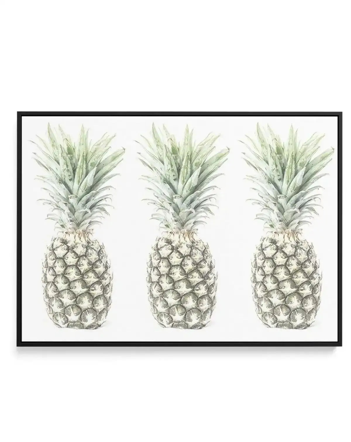 Las Pineapples | Framed Canvas-CANVAS-You can shop wall art online with Olive et Oriel for everything from abstract art to fun kids wall art. Our beautiful modern art prints and canvas art are available from large canvas prints to wall art paintings and our proudly Australian artwork collection offers only the highest quality framed large wall art and canvas art Australia - You can buy fashion photography prints or Hampton print posters and paintings on canvas from Olive et Oriel and have them d