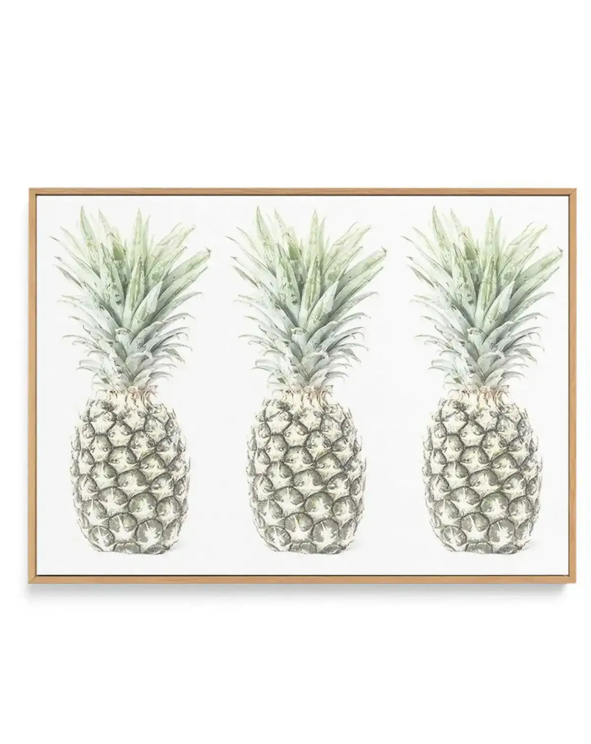 Las Pineapples | Framed Canvas-CANVAS-You can shop wall art online with Olive et Oriel for everything from abstract art to fun kids wall art. Our beautiful modern art prints and canvas art are available from large canvas prints to wall art paintings and our proudly Australian artwork collection offers only the highest quality framed large wall art and canvas art Australia - You can buy fashion photography prints or Hampton print posters and paintings on canvas from Olive et Oriel and have them d