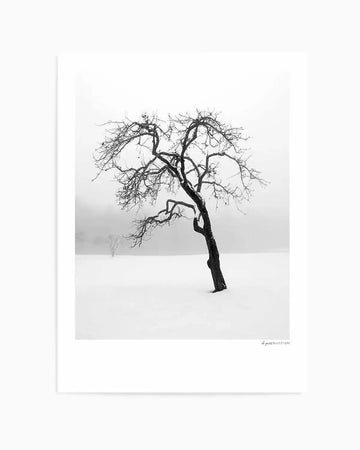 Framed black and white photograph of a solitary, gnarled tree standing in a snow-covered field under an overcast sky, with a natural wood frame and white border. The tree, devoid of leaves, has twisted branches reaching upwards and outwards, with a smaller, fainter tree visible in the misty background.
