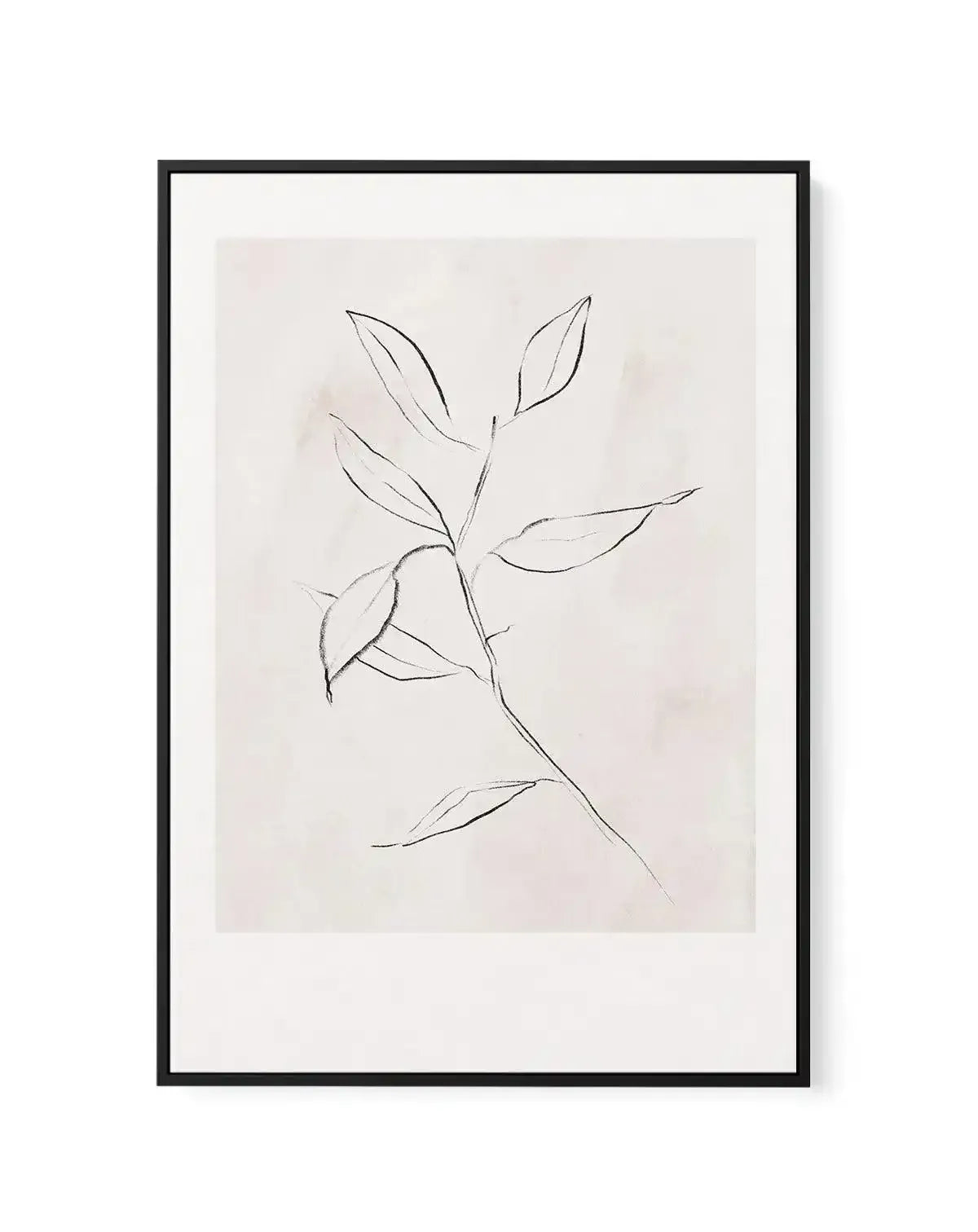 Le Jardin in Charcoal I | Framed Canvas-CANVAS-You can shop wall art online with Olive et Oriel for everything from abstract art to fun kids wall art. Our beautiful modern art prints and canvas art are available from large canvas prints to wall art paintings and our proudly Australian artwork collection offers only the highest quality framed large wall art and canvas art Australia - You can buy fashion photography prints or Hampton print posters and paintings on canvas from Olive et Oriel and ha