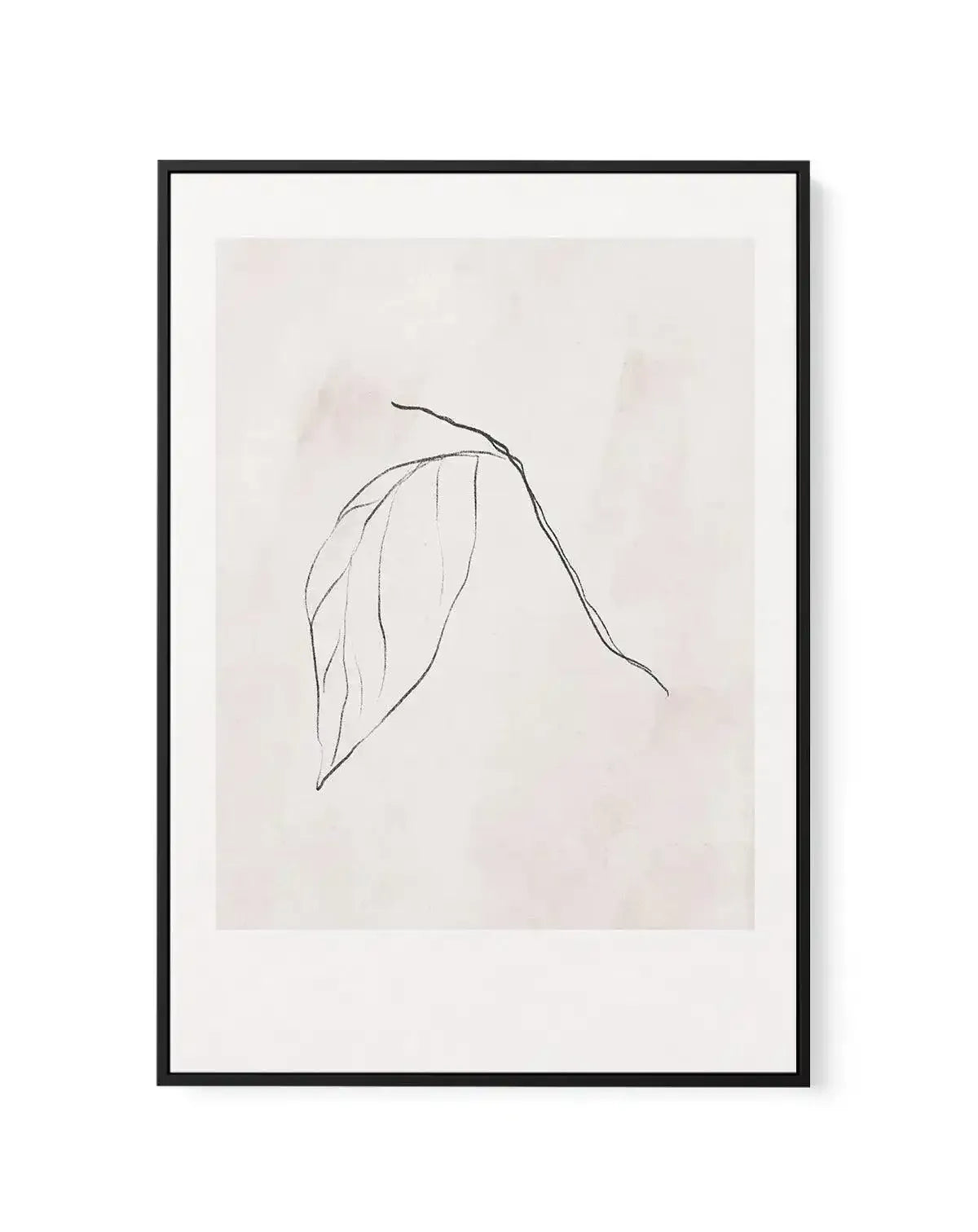 Le Jardin in Charcoal II | Framed Canvas-CANVAS-You can shop wall art online with Olive et Oriel for everything from abstract art to fun kids wall art. Our beautiful modern art prints and canvas art are available from large canvas prints to wall art paintings and our proudly Australian artwork collection offers only the highest quality framed large wall art and canvas art Australia - You can buy fashion photography prints or Hampton print posters and paintings on canvas from Olive et Oriel and h