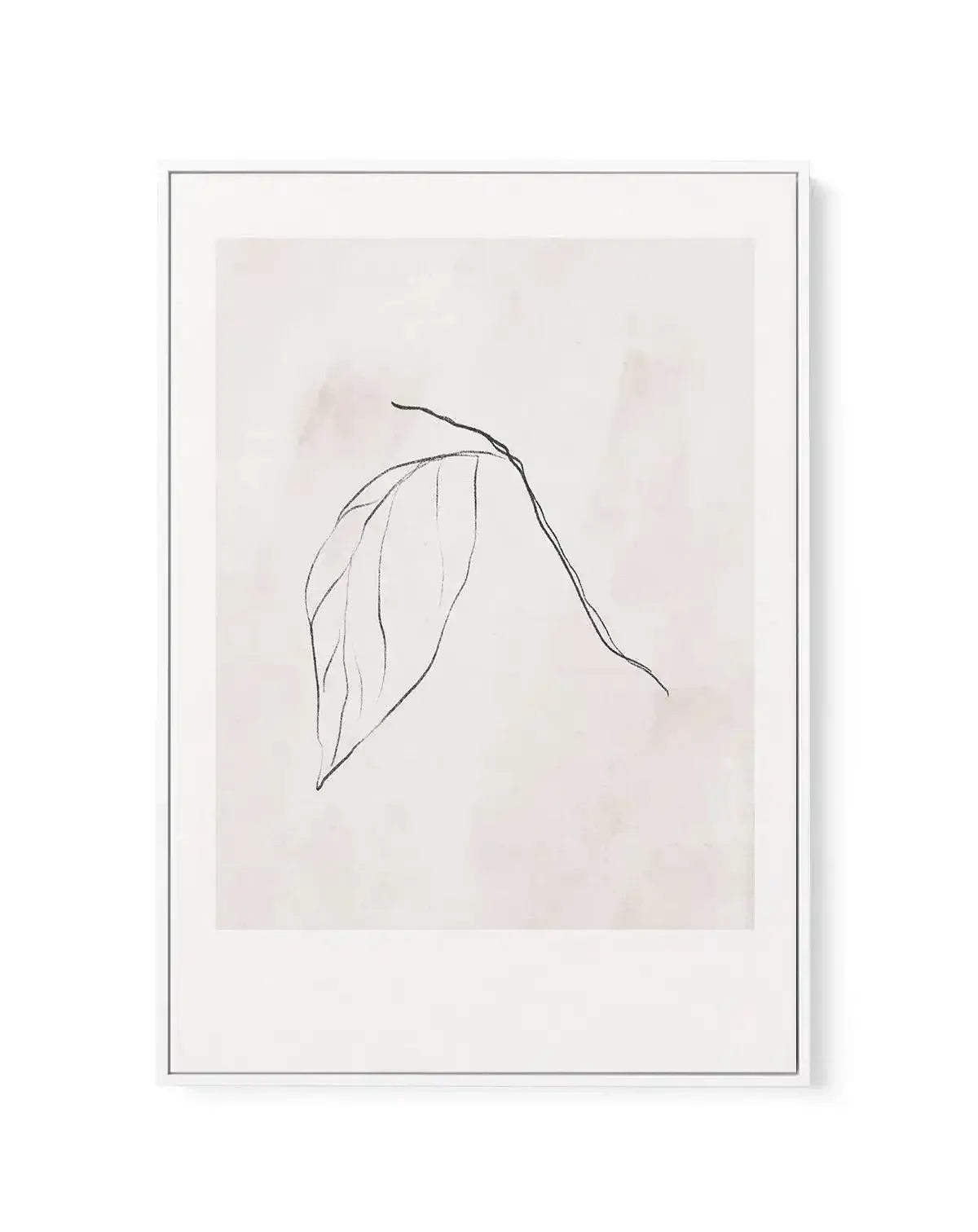 Le Jardin in Charcoal II | Framed Canvas-CANVAS-You can shop wall art online with Olive et Oriel for everything from abstract art to fun kids wall art. Our beautiful modern art prints and canvas art are available from large canvas prints to wall art paintings and our proudly Australian artwork collection offers only the highest quality framed large wall art and canvas art Australia - You can buy fashion photography prints or Hampton print posters and paintings on canvas from Olive et Oriel and h