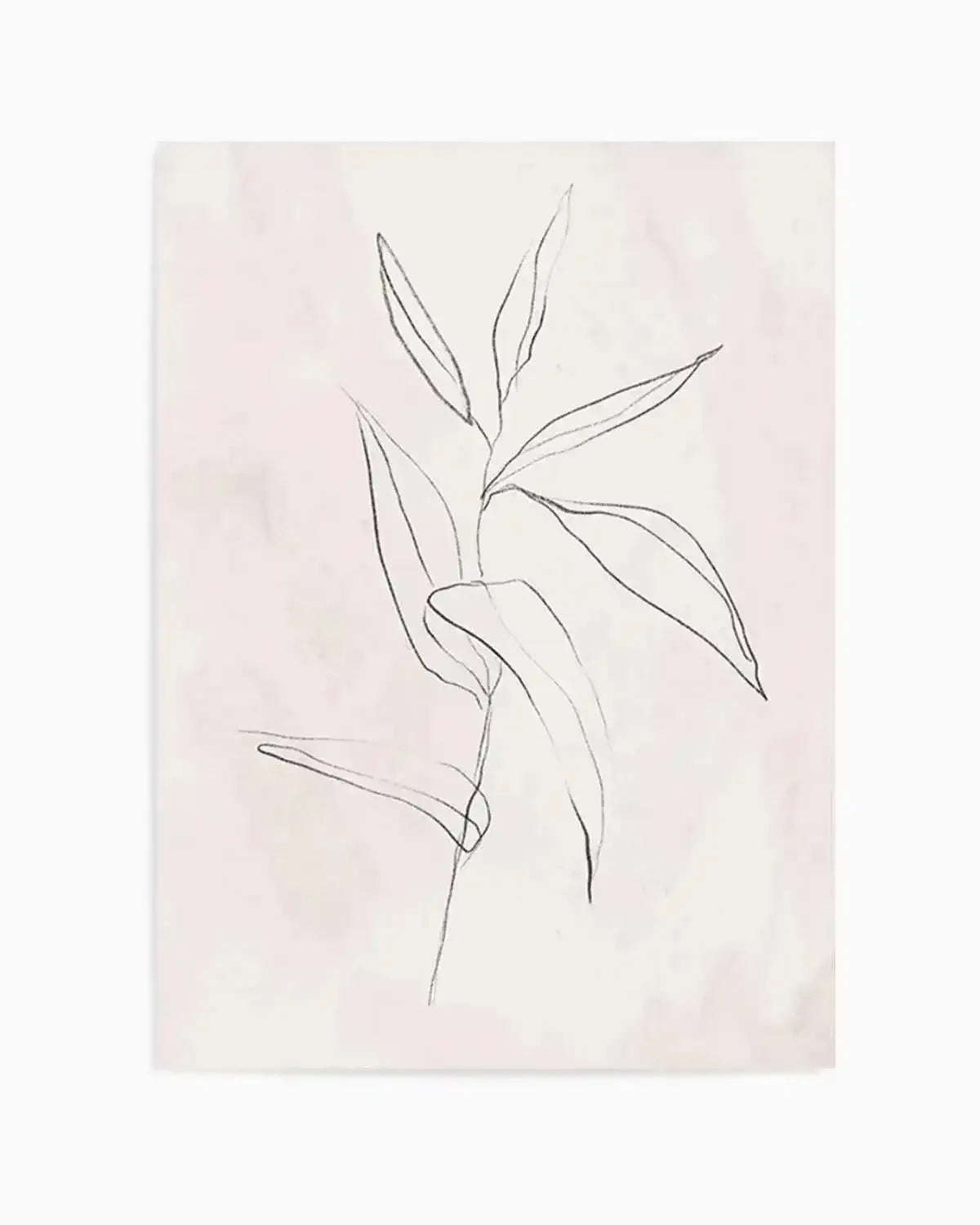 Le Jardin in Charcoal III Art Print from Olive et Oriel where you can shop wallpaper and artworks online