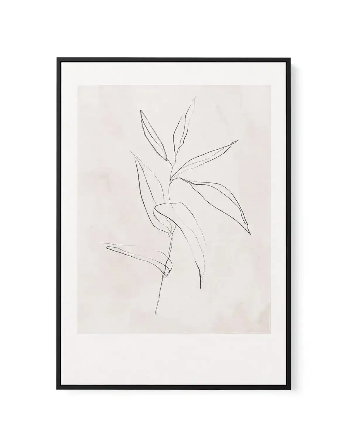 Le Jardin in Charcoal III | Framed Canvas-CANVAS-You can shop wall art online with Olive et Oriel for everything from abstract art to fun kids wall art. Our beautiful modern art prints and canvas art are available from large canvas prints to wall art paintings and our proudly Australian artwork collection offers only the highest quality framed large wall art and canvas art Australia - You can buy fashion photography prints or Hampton print posters and paintings on canvas from Olive et Oriel and 