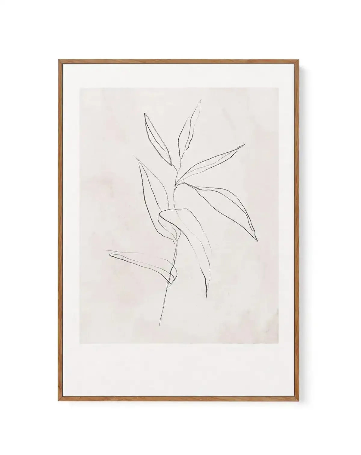 Le Jardin in Charcoal III | Framed Canvas-CANVAS-You can shop wall art online with Olive et Oriel for everything from abstract art to fun kids wall art. Our beautiful modern art prints and canvas art are available from large canvas prints to wall art paintings and our proudly Australian artwork collection offers only the highest quality framed large wall art and canvas art Australia - You can buy fashion photography prints or Hampton print posters and paintings on canvas from Olive et Oriel and 