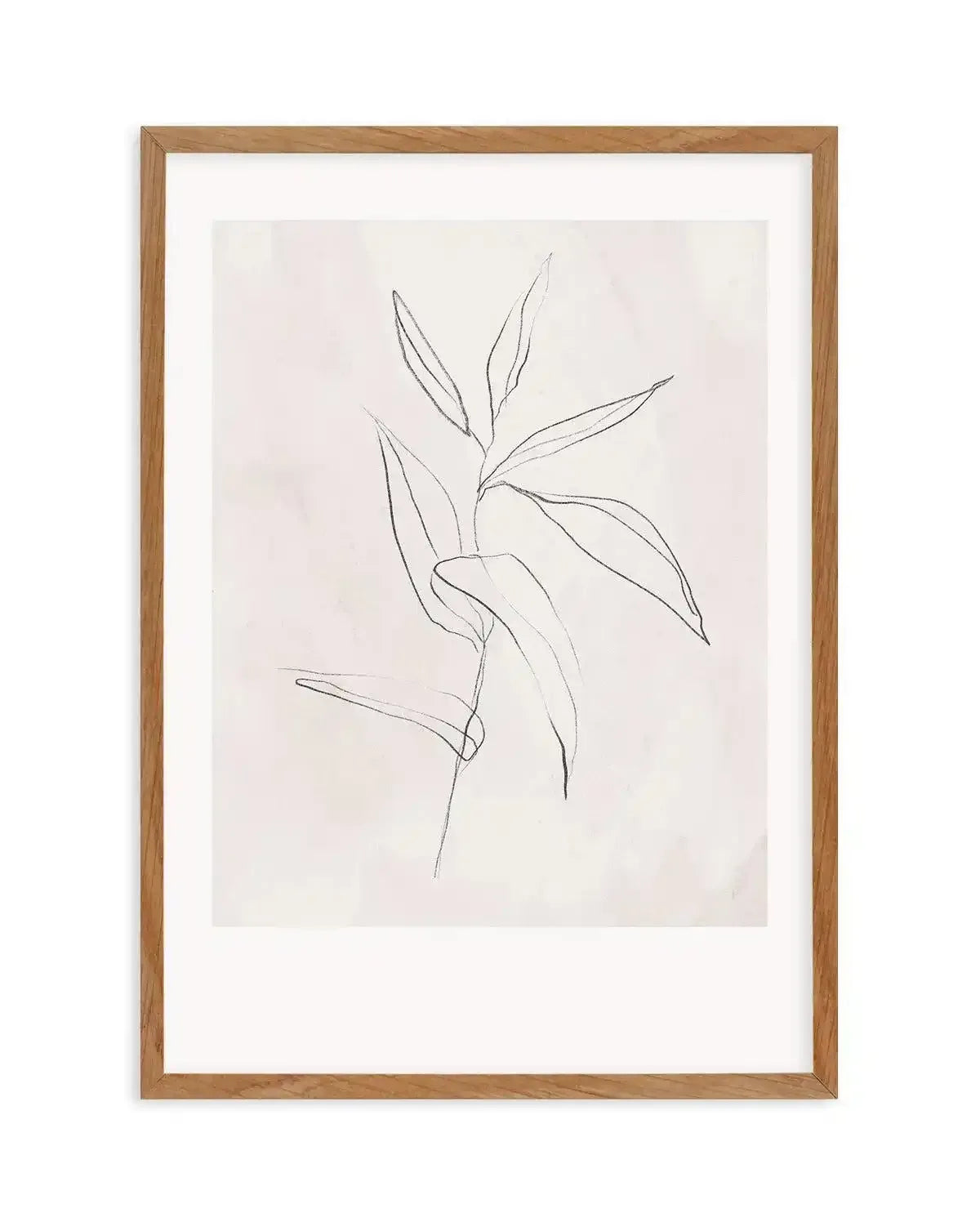 Le Jardin in Charcoal III Art Print-PRINT-Olive et Oriel-Olive et Oriel-Buy-Australian-Art-Prints-Online-with-Olive-et-Oriel-Your-Artwork-Specialists-Austrailia-Decorate-With-Coastal-Photo-Wall-Art-Prints-From-Our-Beach-House-Artwork-Collection-Fine-Poster-and-Framed-Artwork