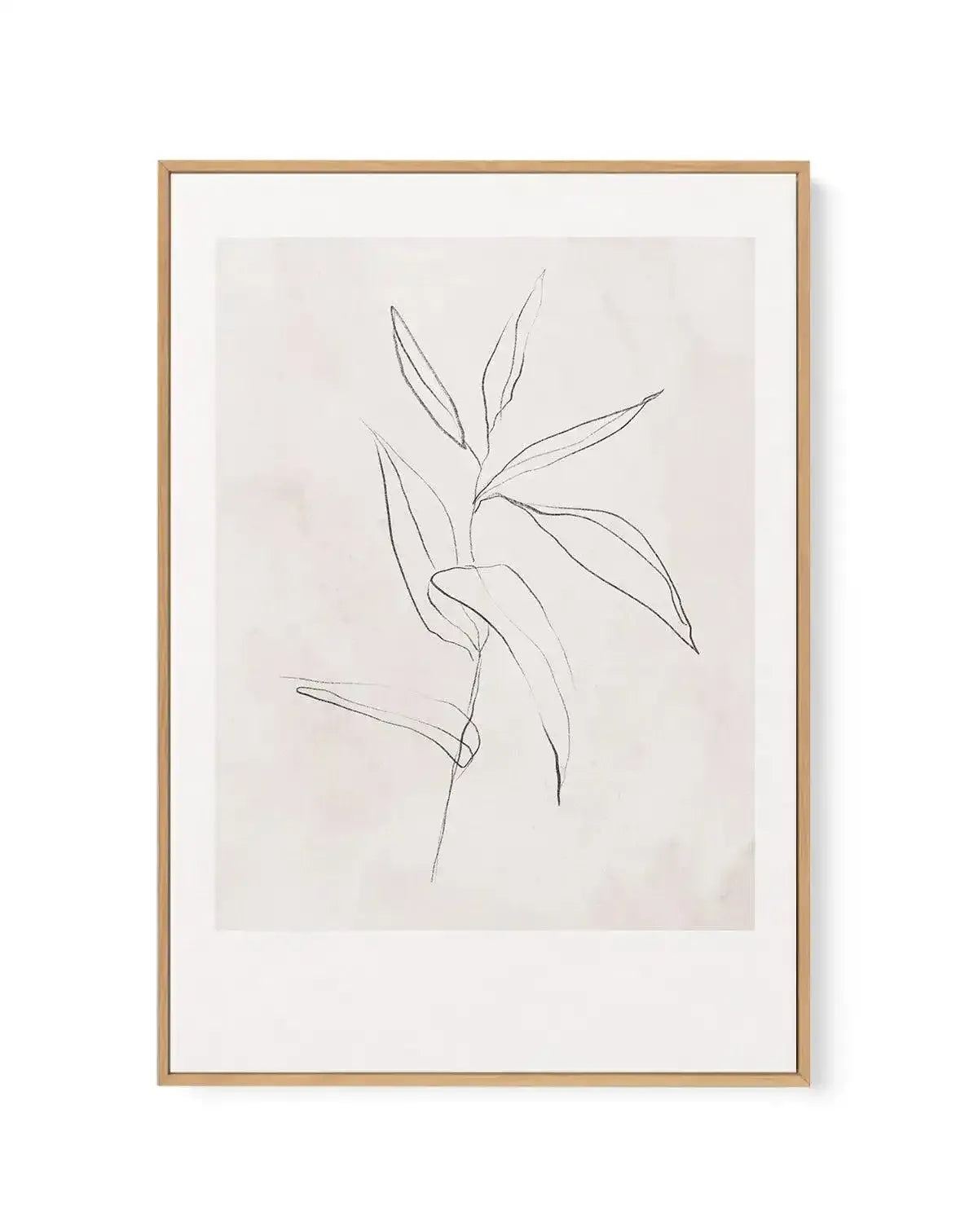 Le Jardin in Charcoal III | Framed Canvas-CANVAS-You can shop wall art online with Olive et Oriel for everything from abstract art to fun kids wall art. Our beautiful modern art prints and canvas art are available from large canvas prints to wall art paintings and our proudly Australian artwork collection offers only the highest quality framed large wall art and canvas art Australia - You can buy fashion photography prints or Hampton print posters and paintings on canvas from Olive et Oriel and 