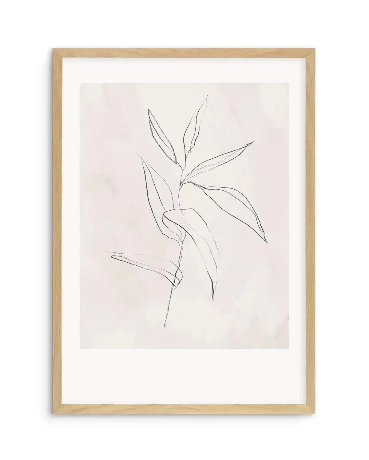 Le Jardin in Charcoal III Art Print-PRINT-Olive et Oriel-Olive et Oriel-Buy-Australian-Art-Prints-Online-with-Olive-et-Oriel-Your-Artwork-Specialists-Austrailia-Decorate-With-Coastal-Photo-Wall-Art-Prints-From-Our-Beach-House-Artwork-Collection-Fine-Poster-and-Framed-Artwork