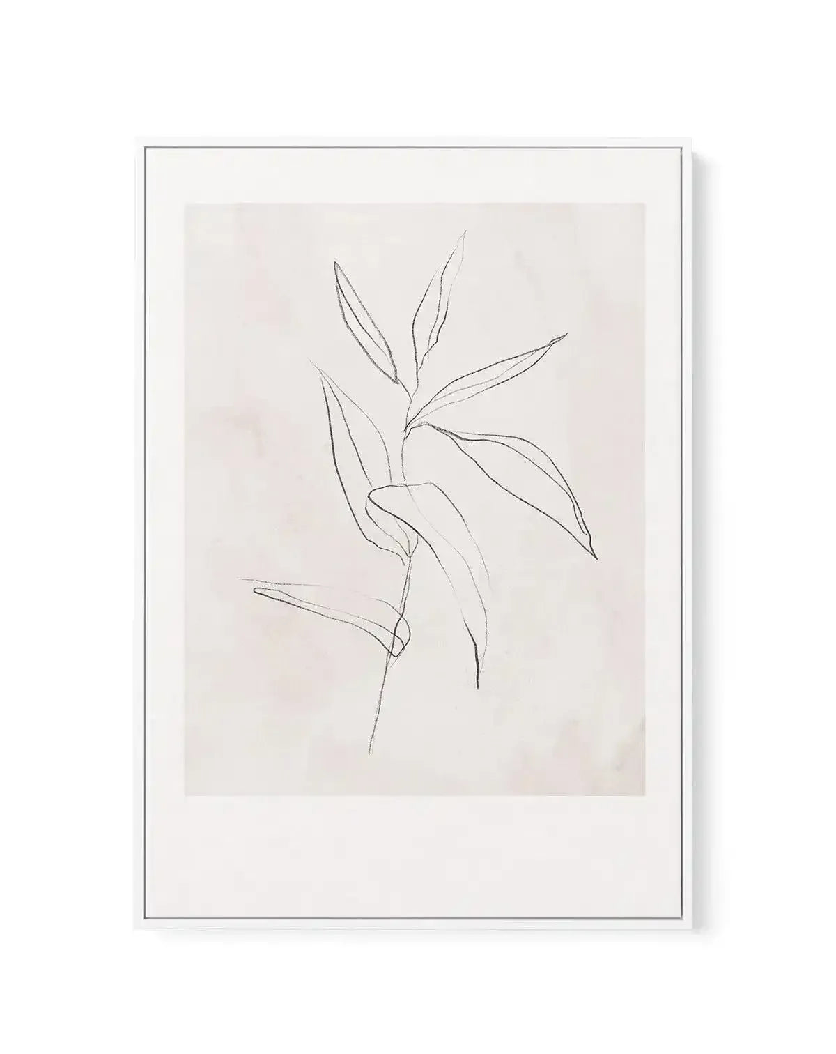 Le Jardin in Charcoal III | Framed Canvas-CANVAS-You can shop wall art online with Olive et Oriel for everything from abstract art to fun kids wall art. Our beautiful modern art prints and canvas art are available from large canvas prints to wall art paintings and our proudly Australian artwork collection offers only the highest quality framed large wall art and canvas art Australia - You can buy fashion photography prints or Hampton print posters and paintings on canvas from Olive et Oriel and 
